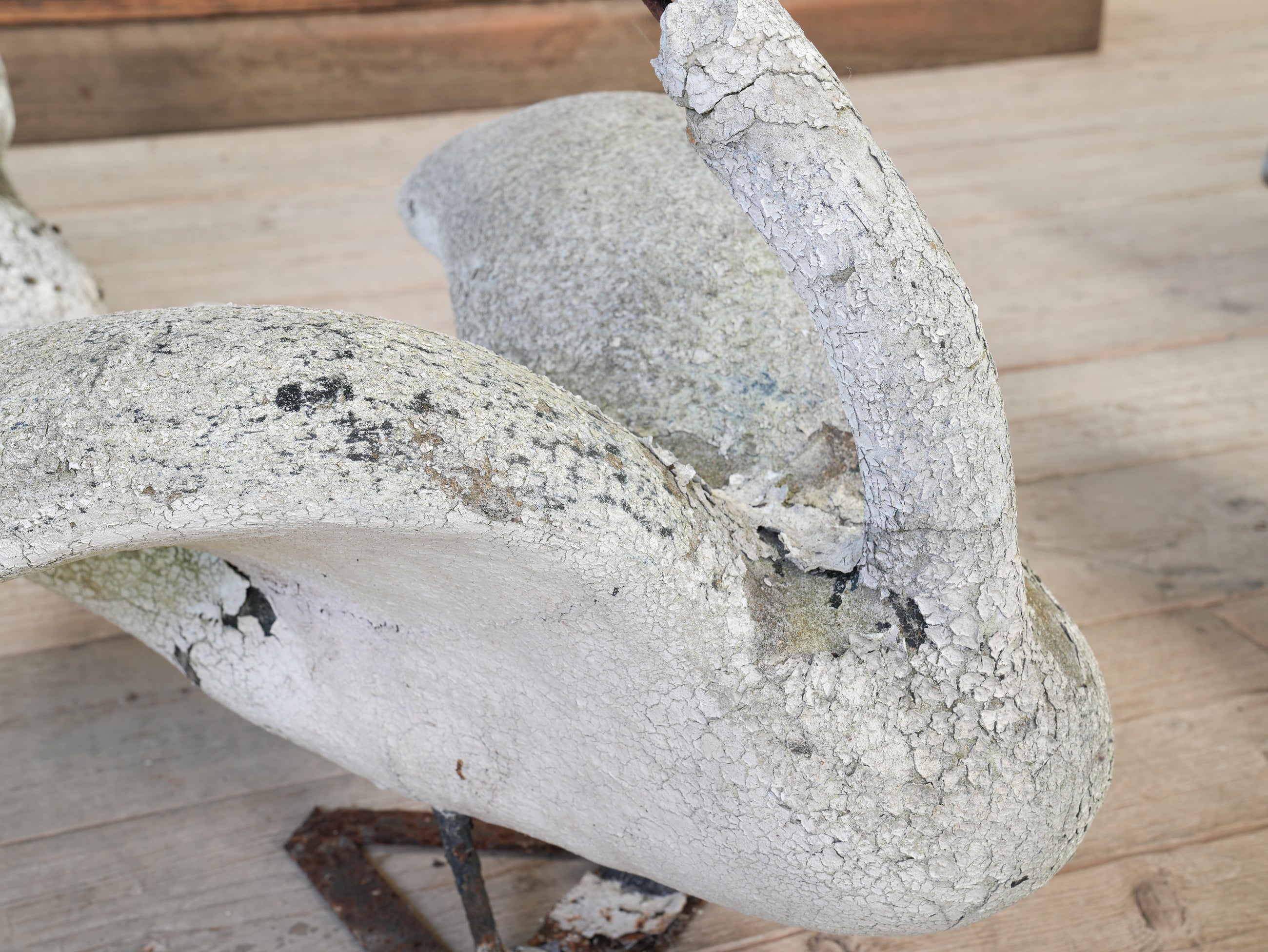 A Bevy of Composition Stone Swans