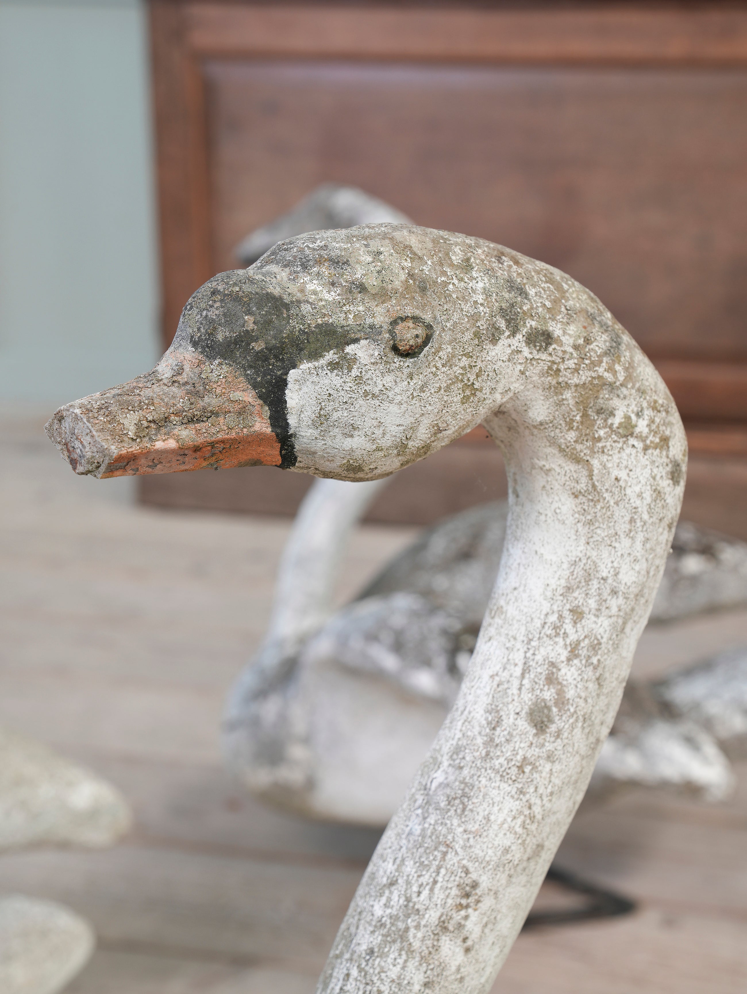 A Bevy of Composition Stone Swans