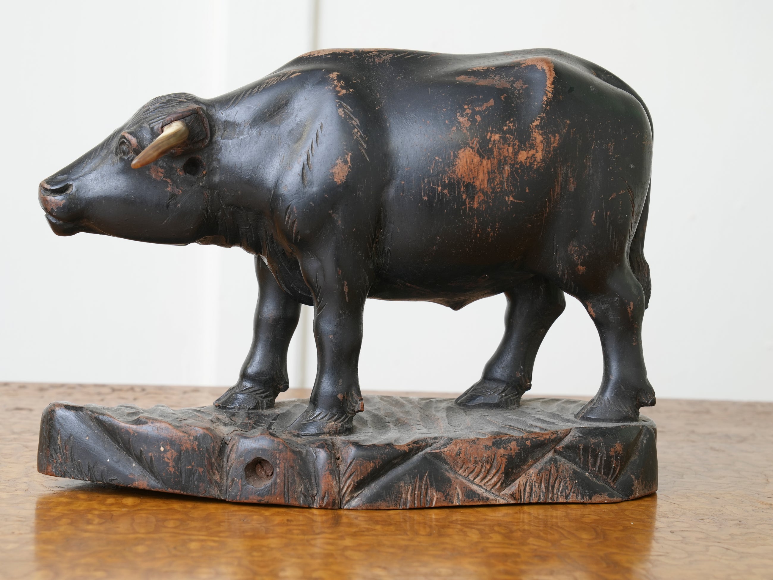 Bull