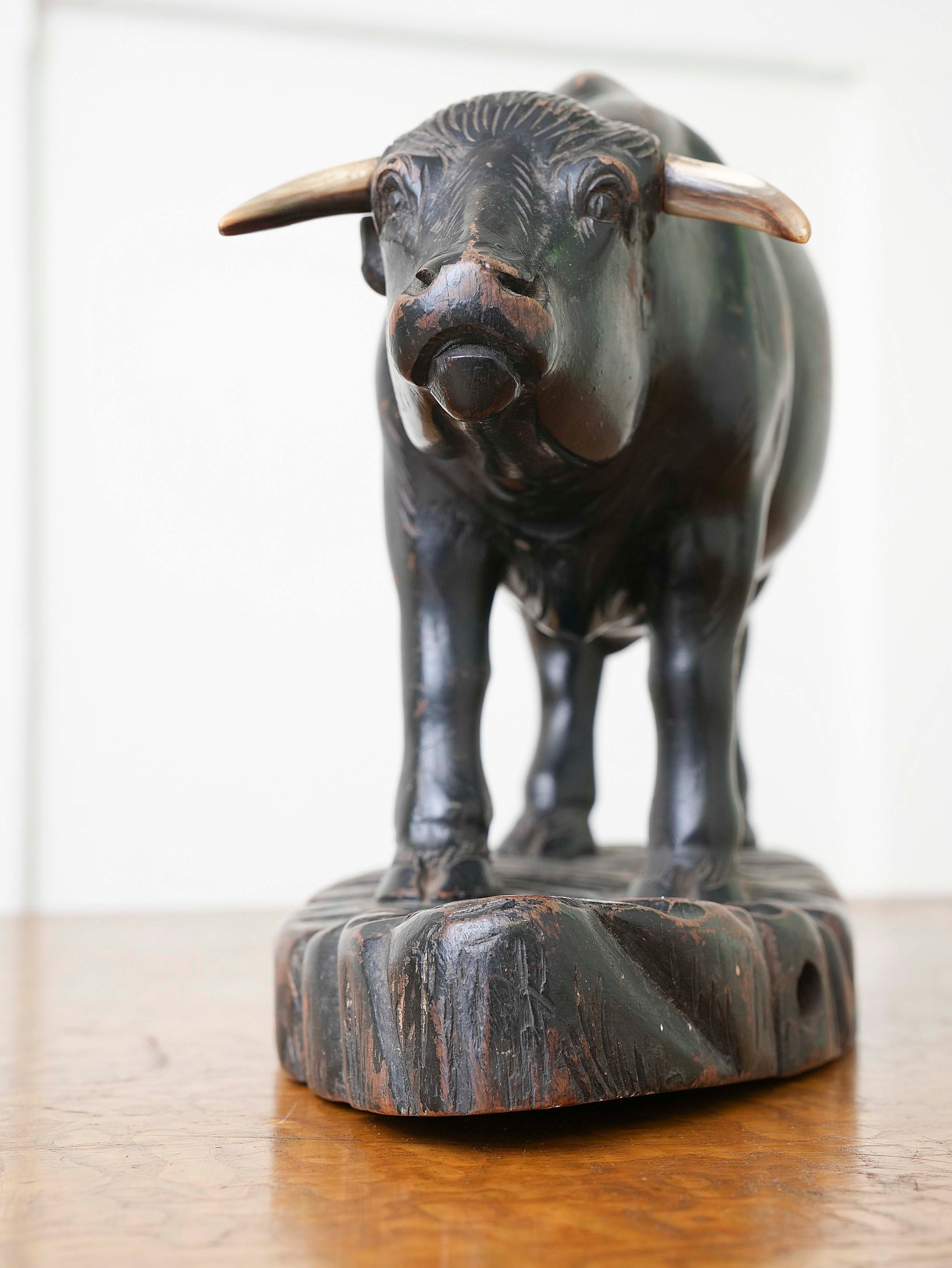 Bull