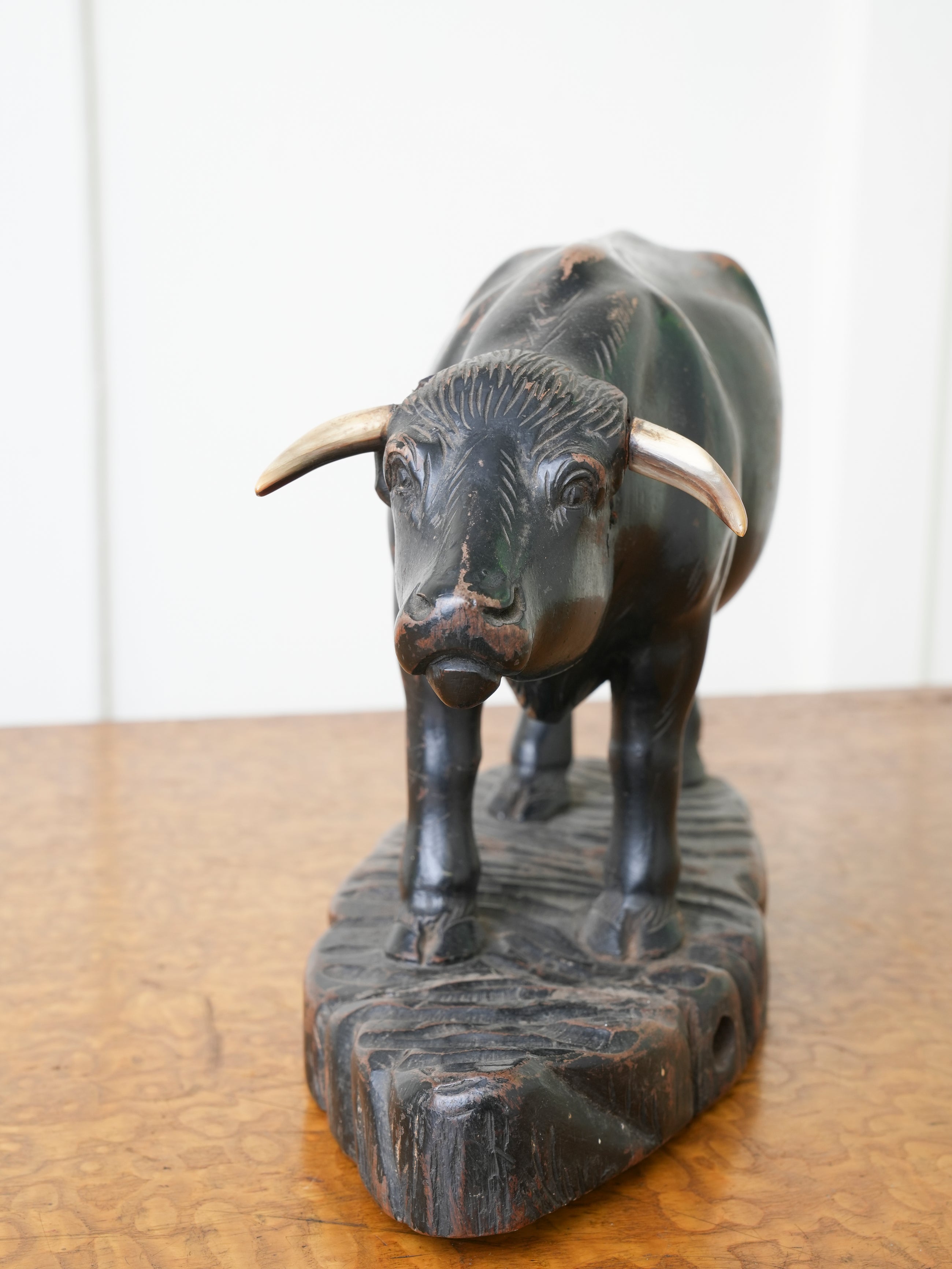 Bull