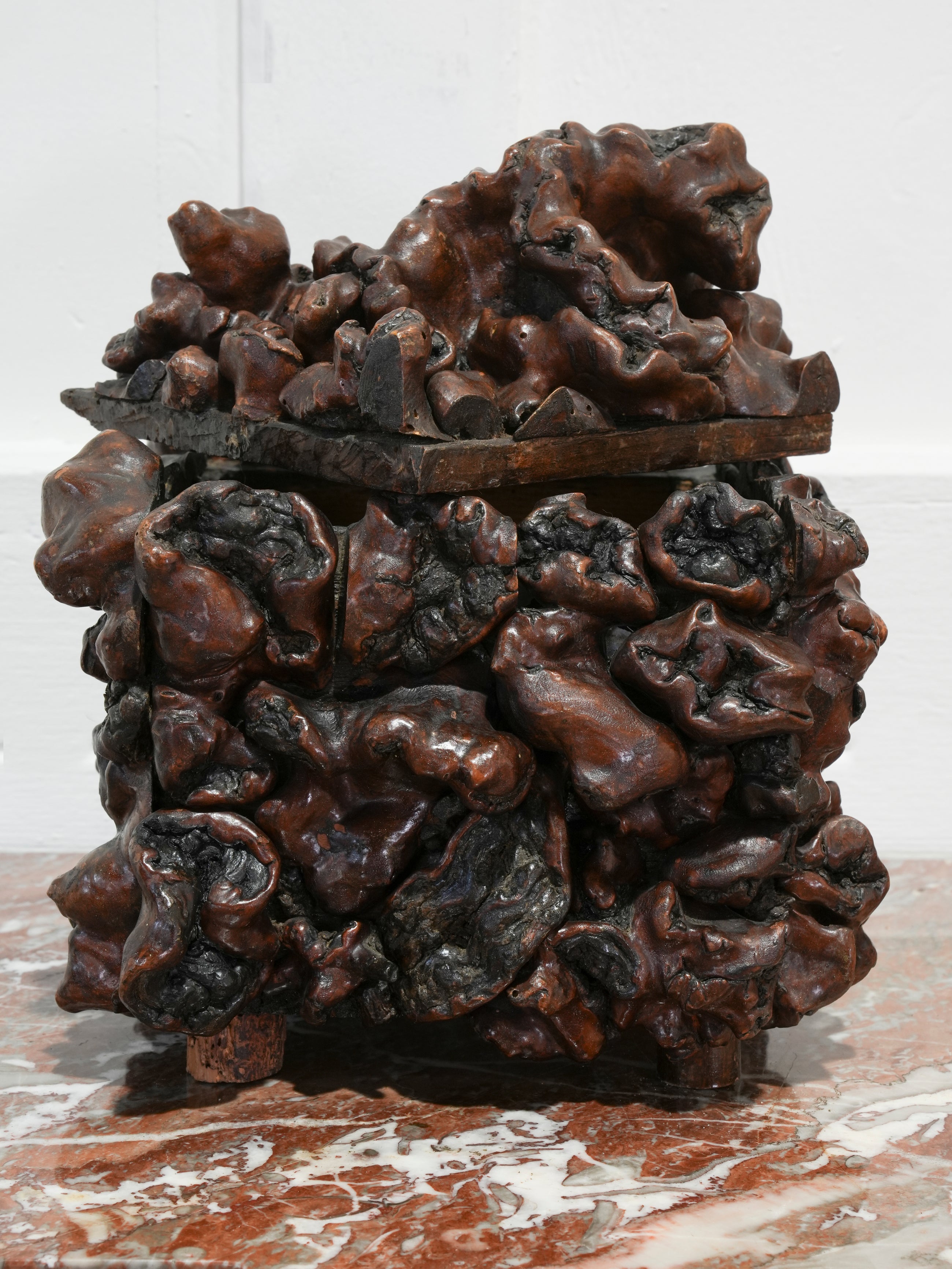 A 19th Century Vine Root Box