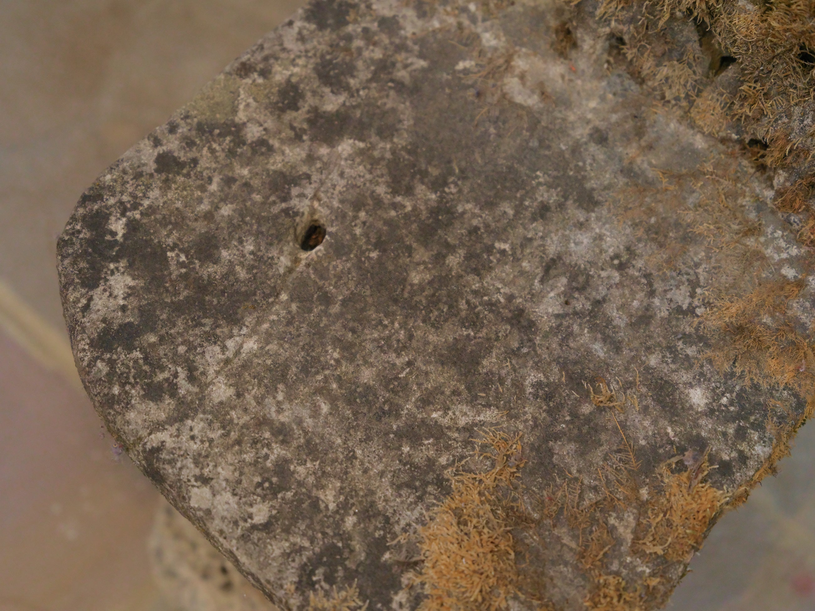 19th Century Italian Grit Stone Grotto Chairs