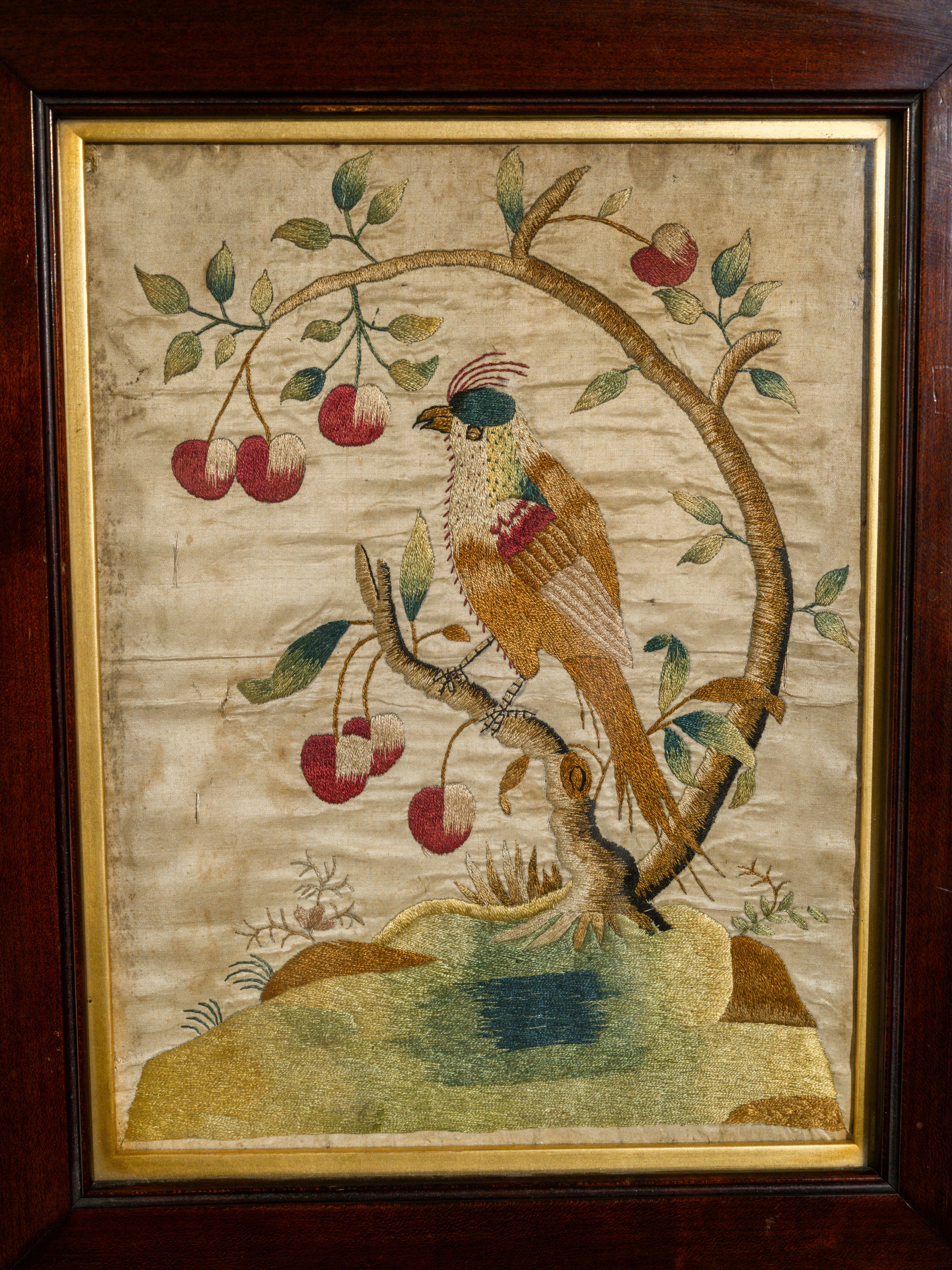 An 18th Century Framed Exotic Bird Silkwork