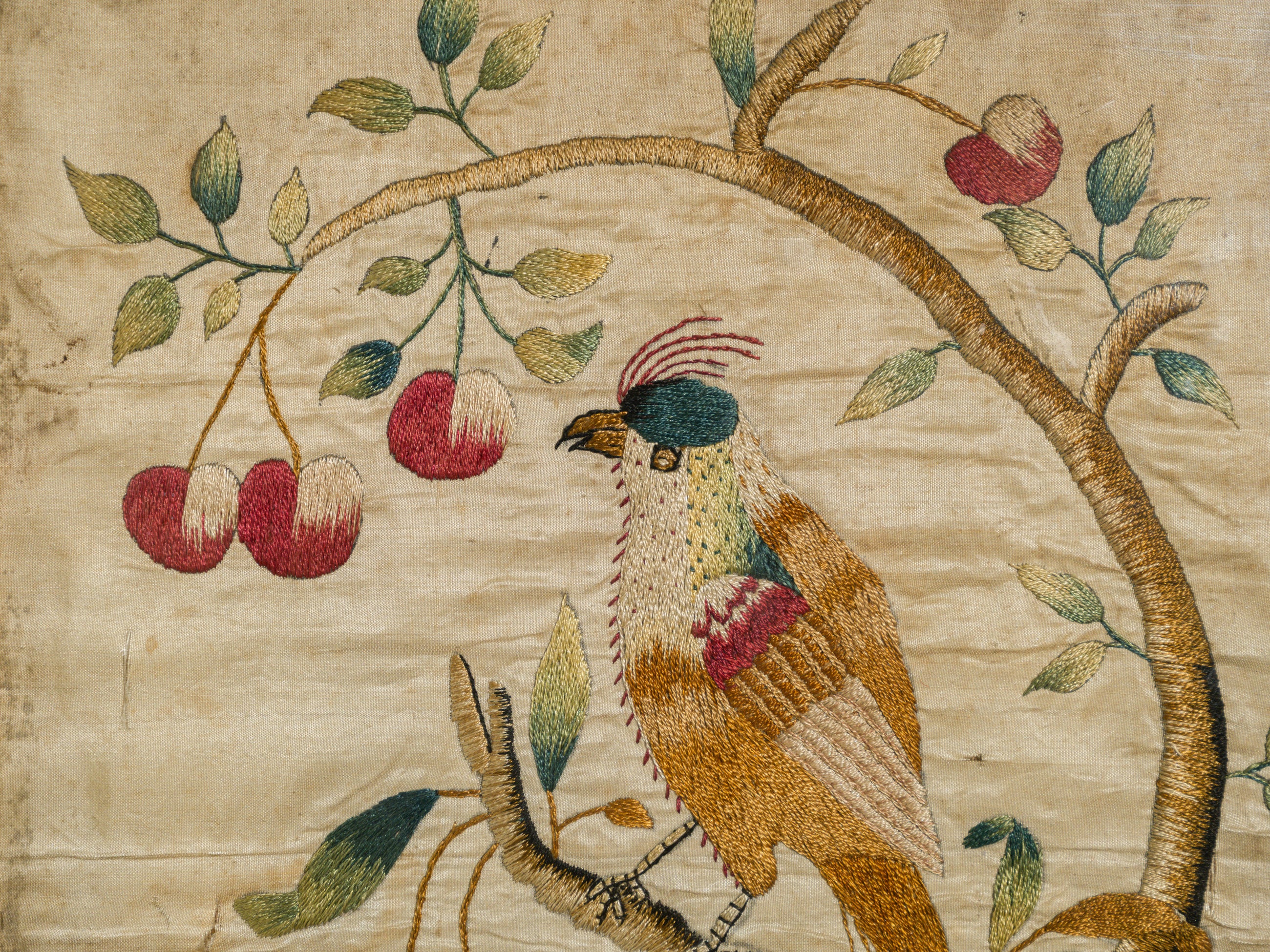 An 18th Century Framed Exotic Bird Silkwork