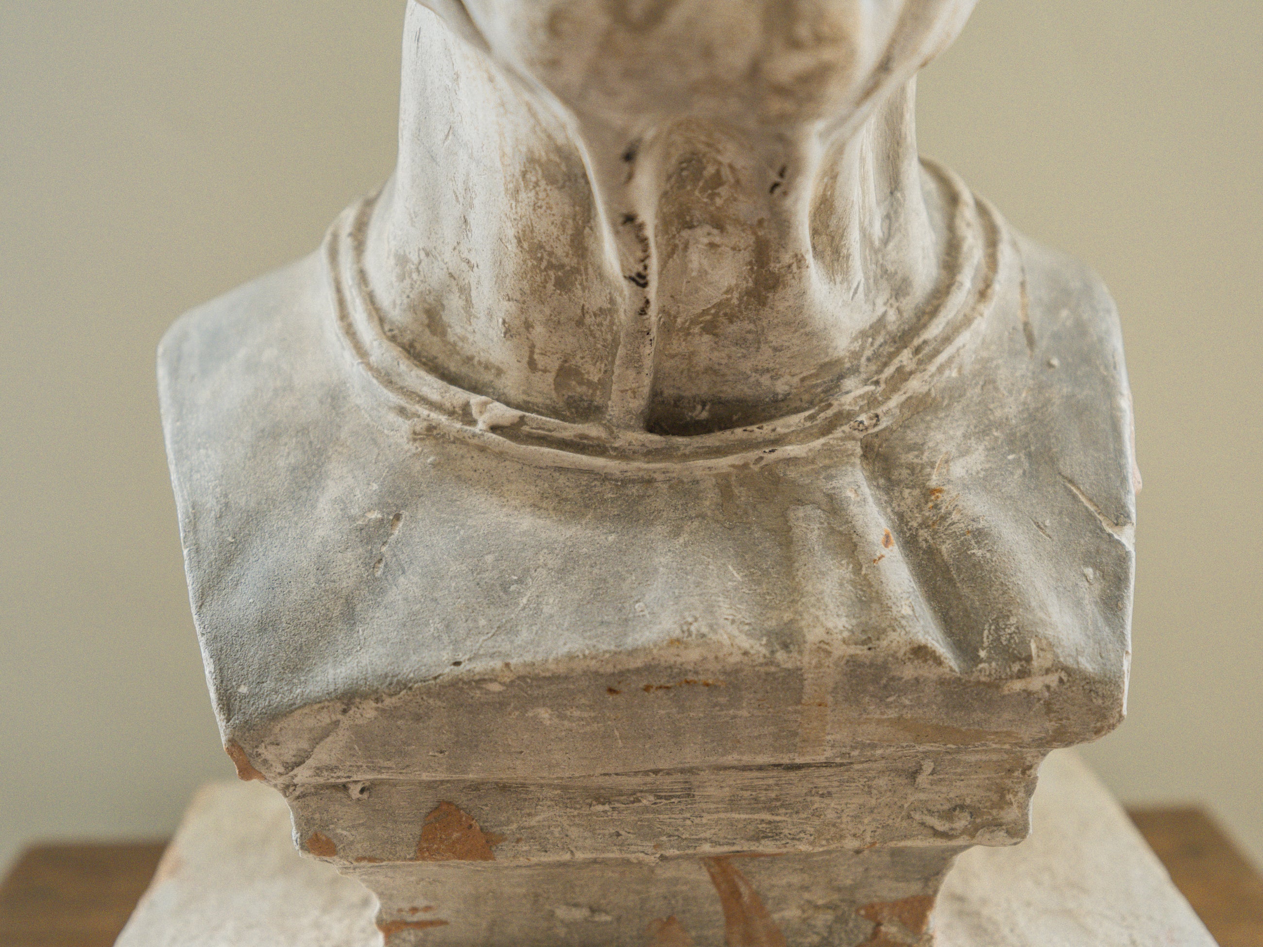 A Brucciani & Co Plaster Bust