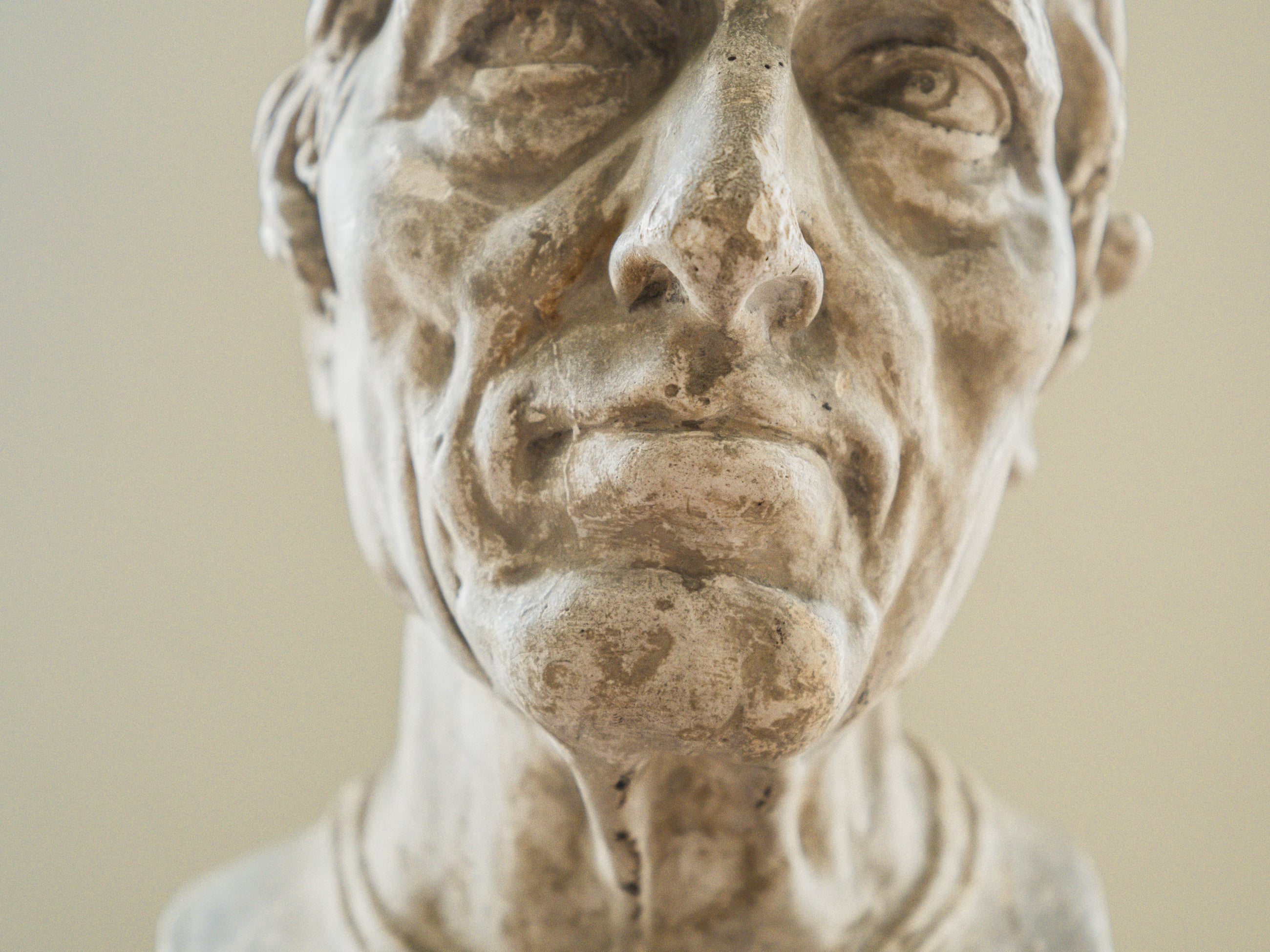 A Brucciani & Co Plaster Bust