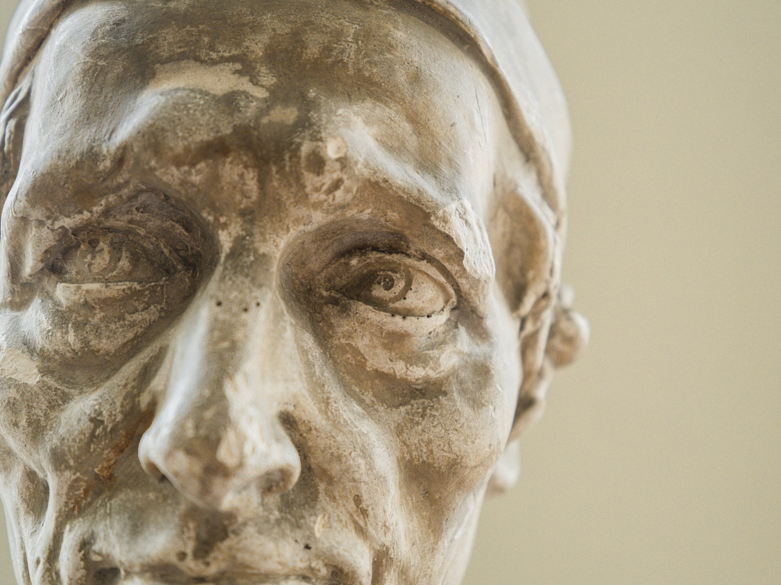 A Brucciani & Co Plaster Bust