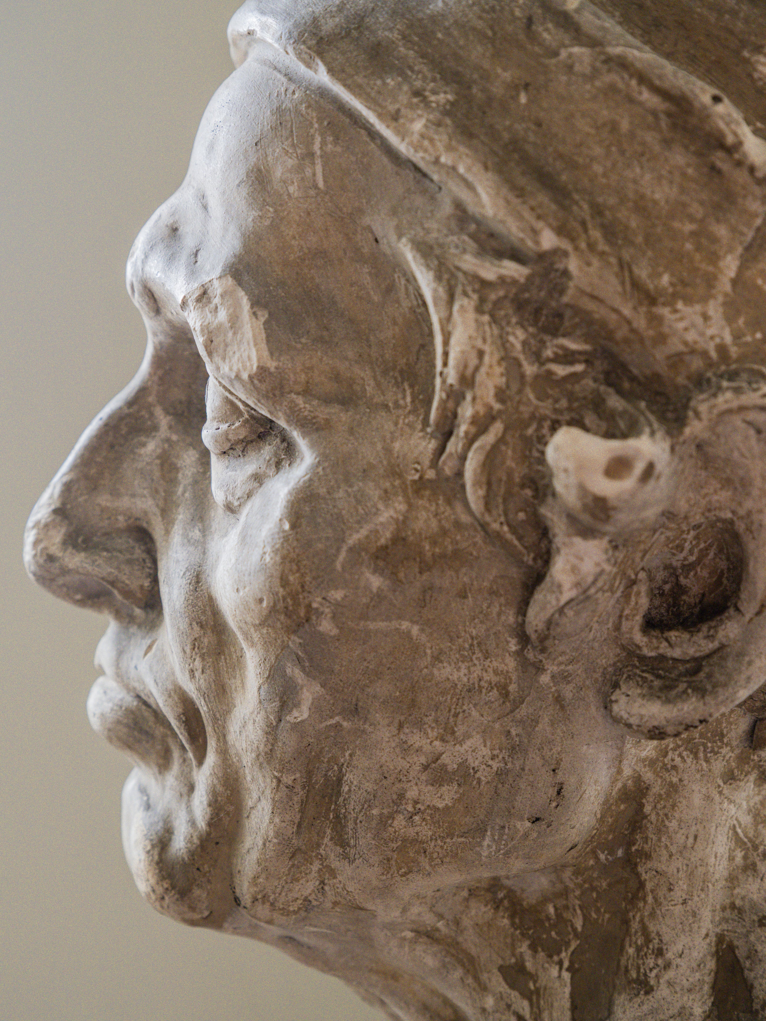 A Brucciani & Co Plaster Bust