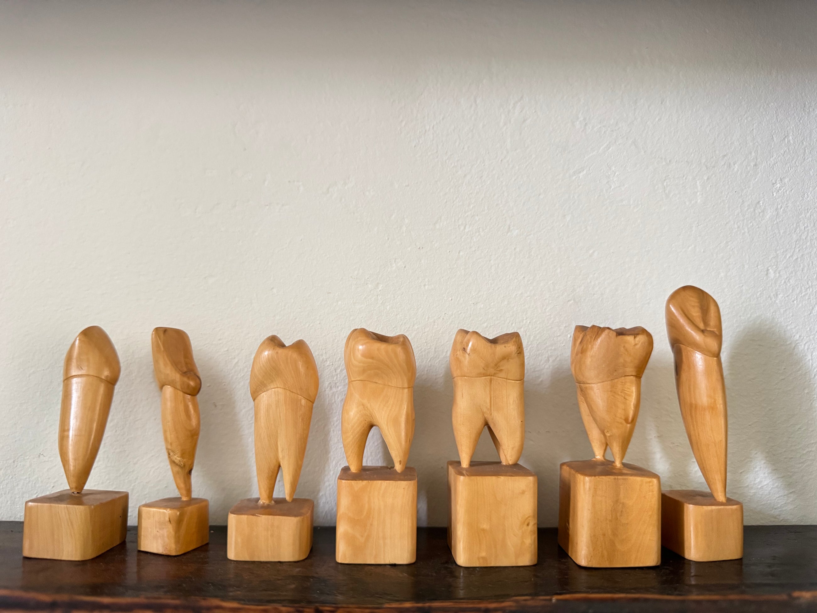 Teeth Models