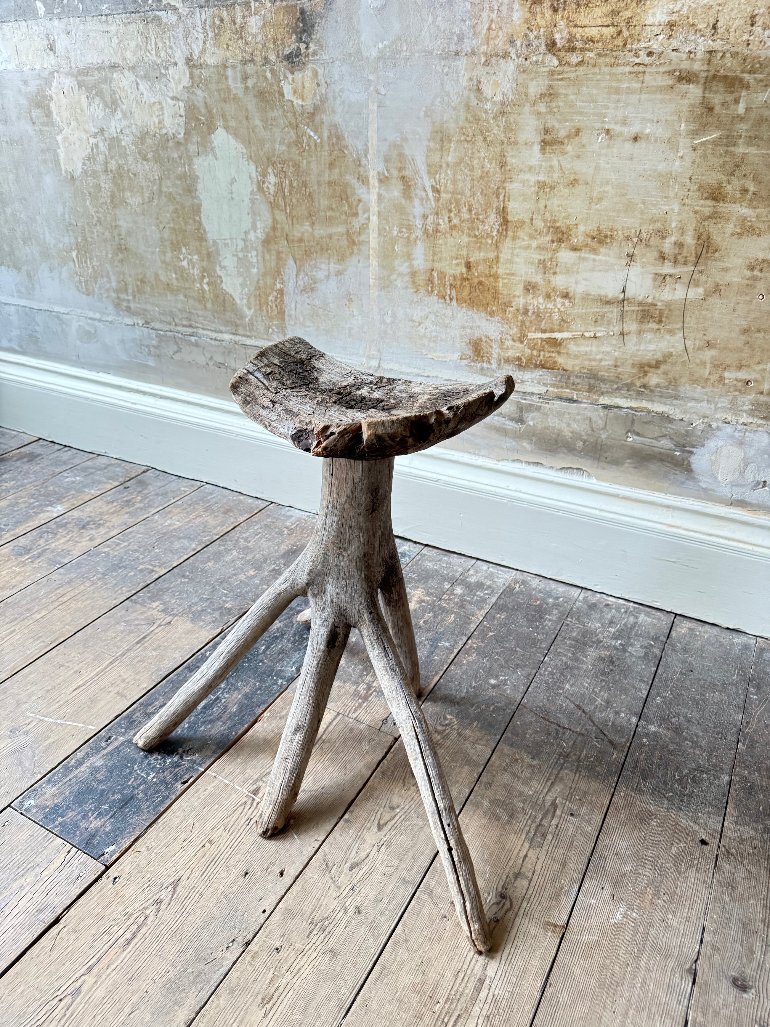 A Primitive Root Stool