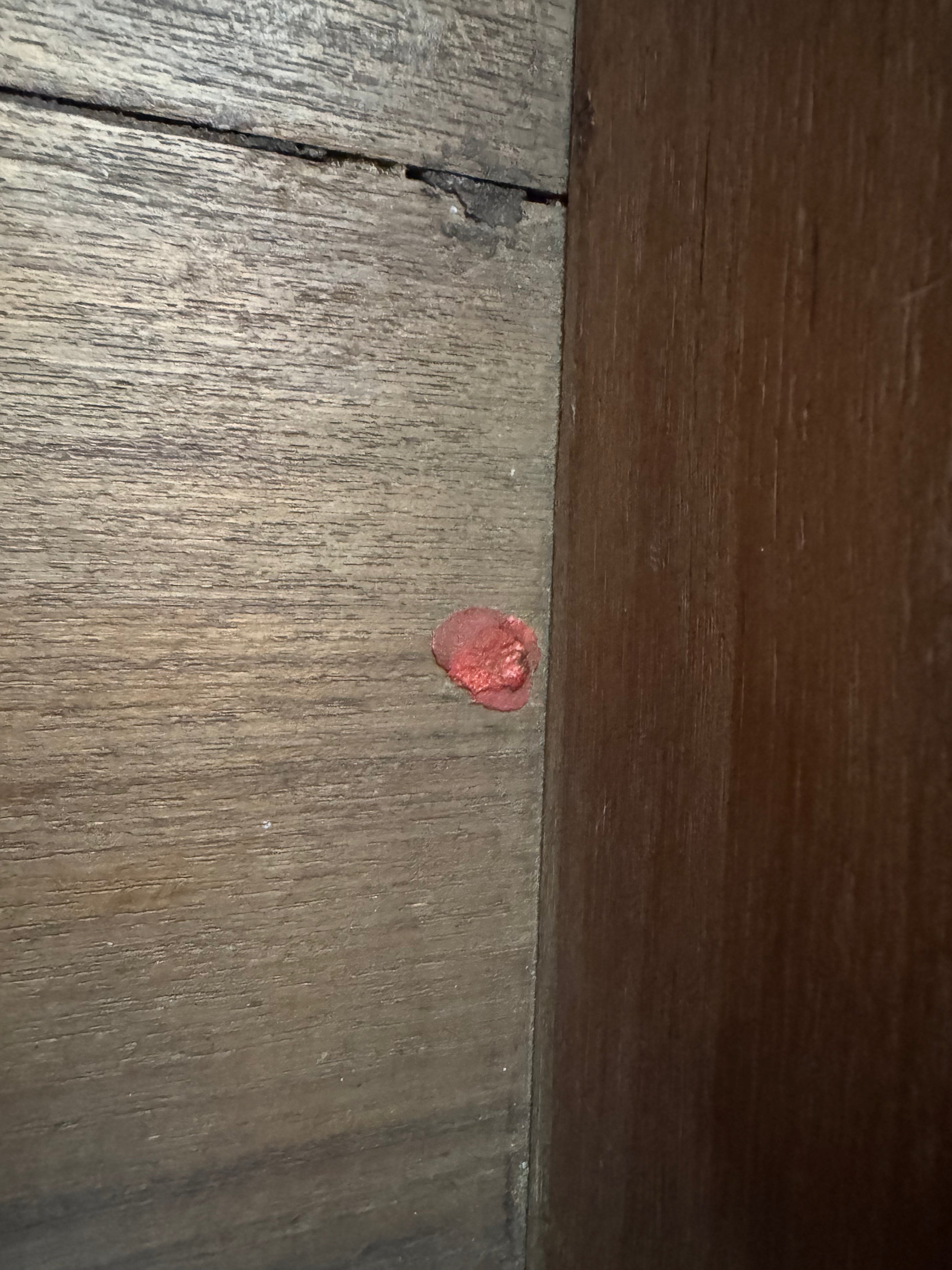 An Anglo Indian Mule Chest