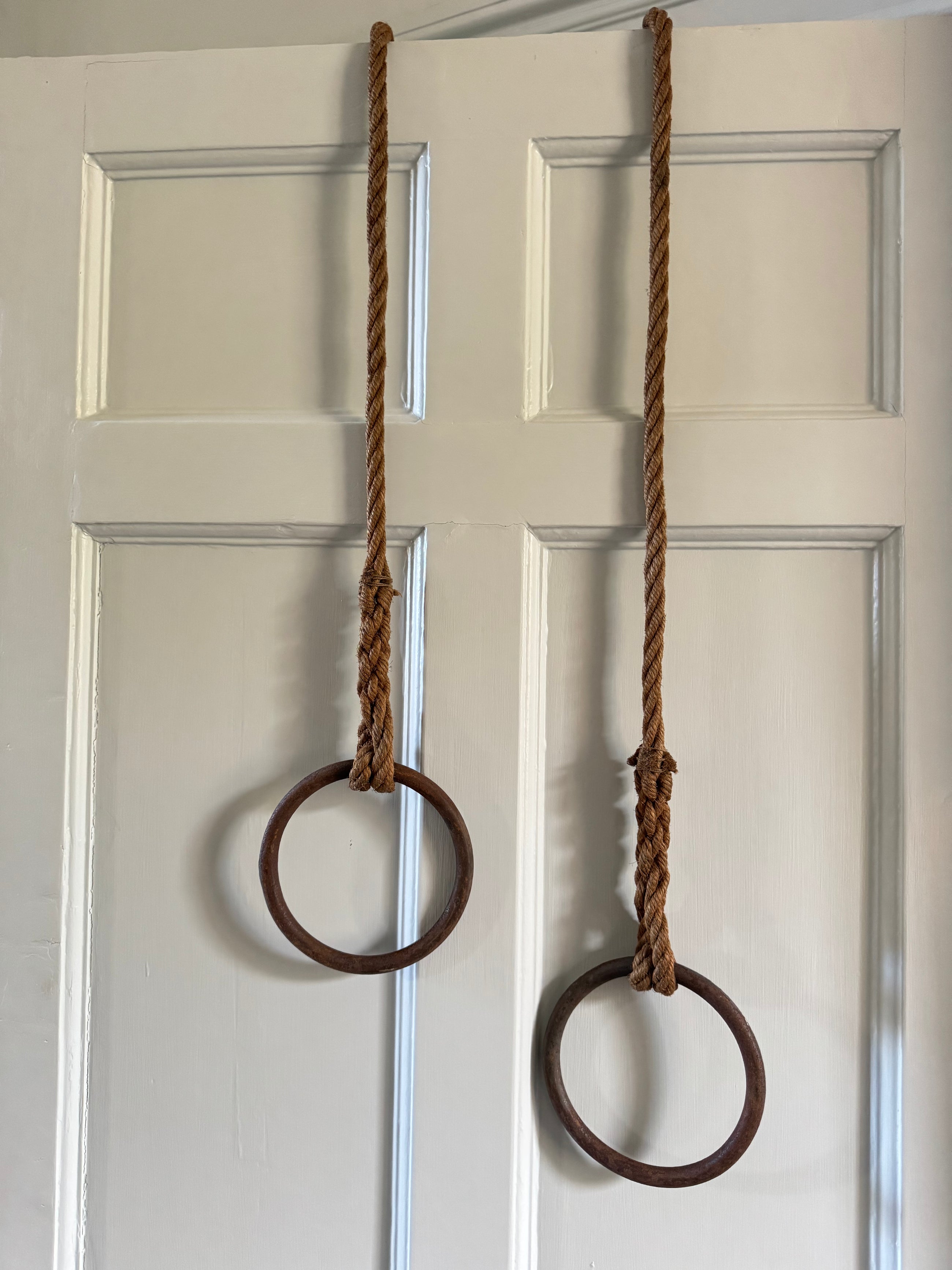 Acrobatic Rings, Swing & Ladders