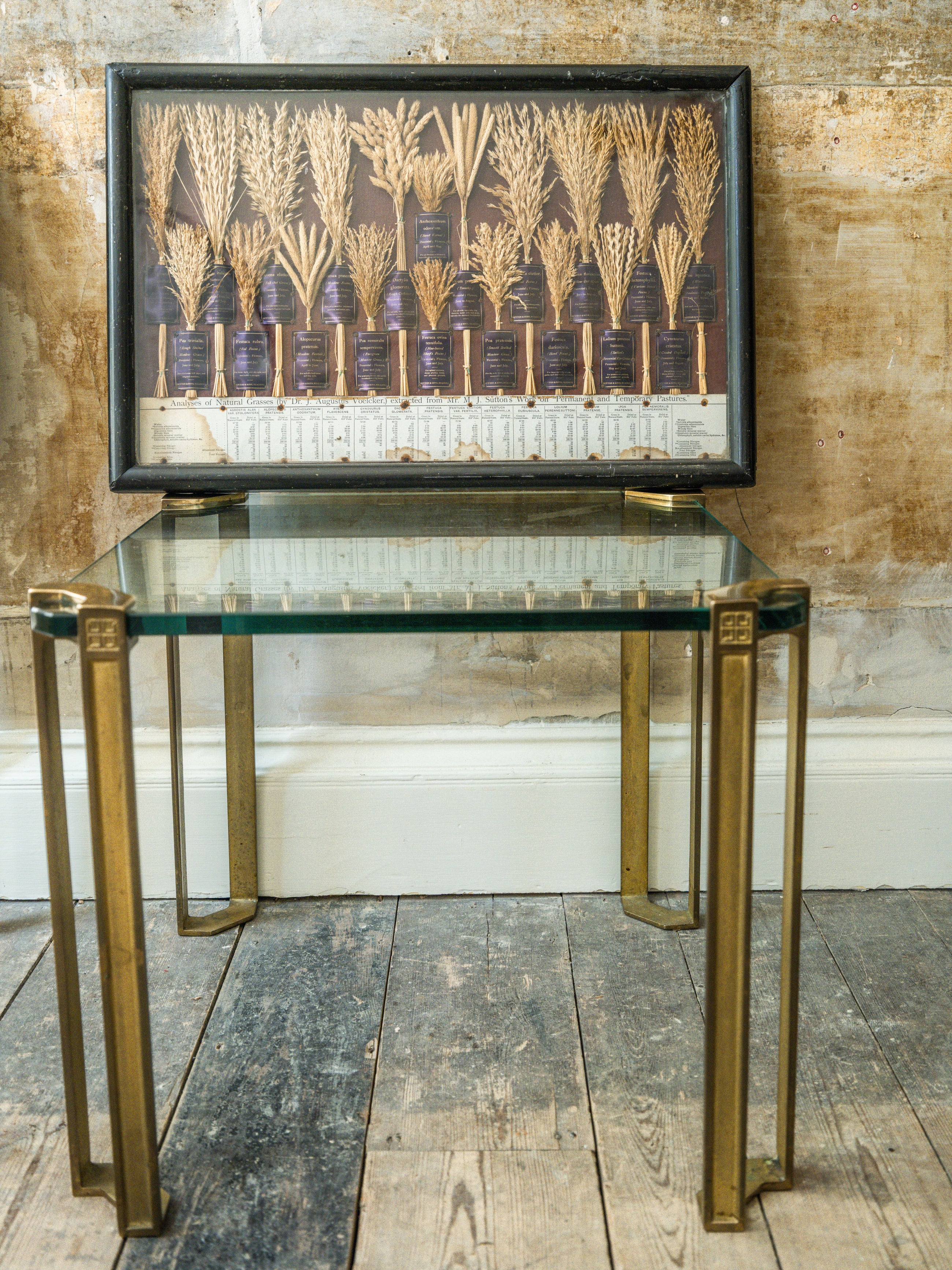 Grasses “Useless” in Agriculture