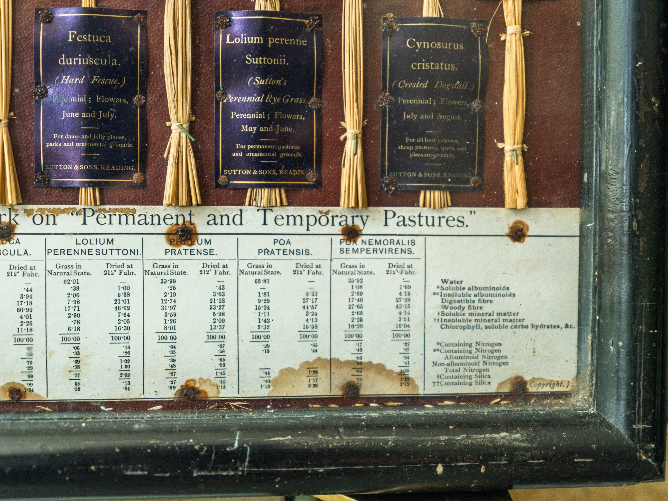 Grasses “Useless” in Agriculture