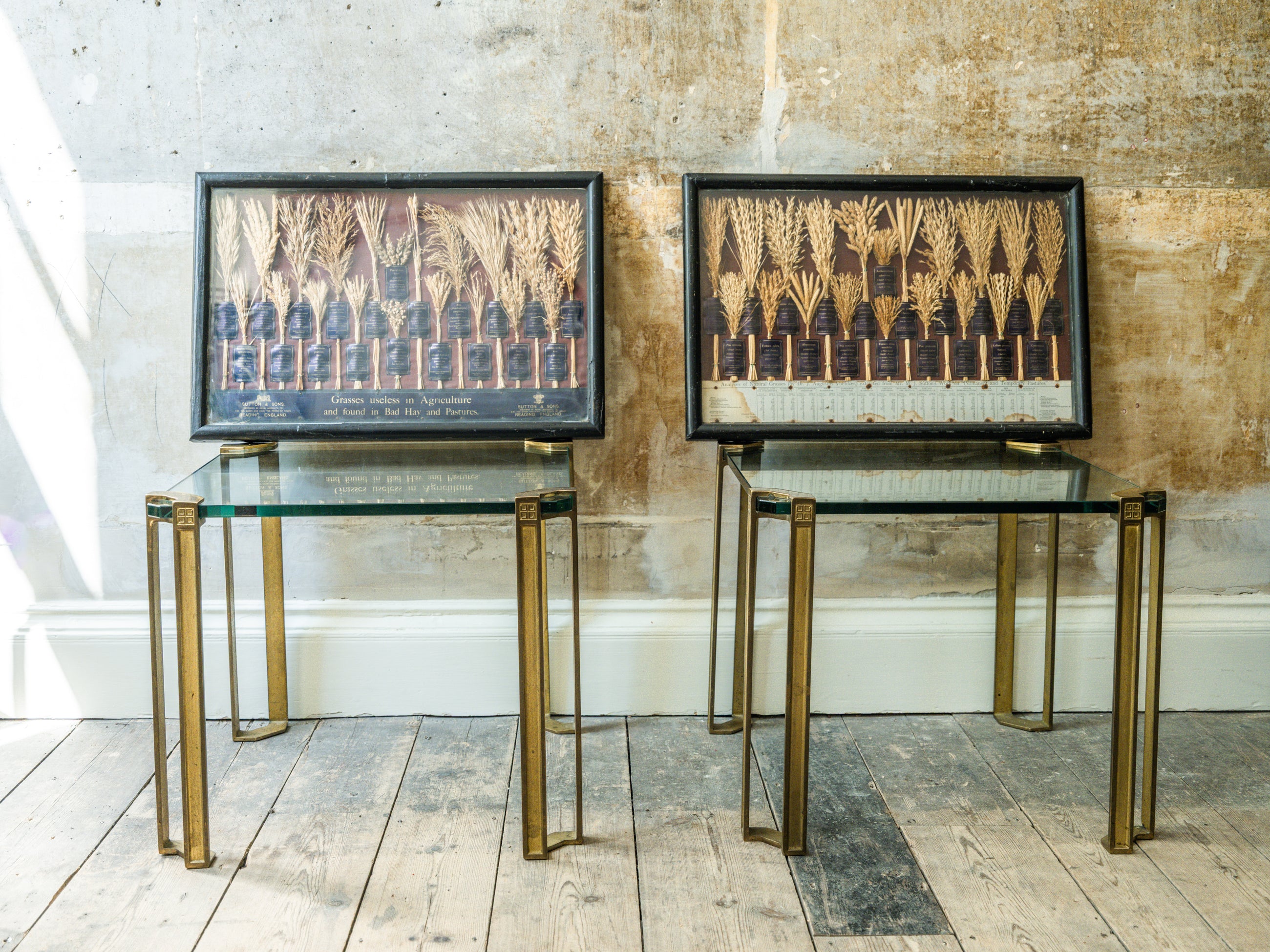 Grasses “Useless” in Agriculture