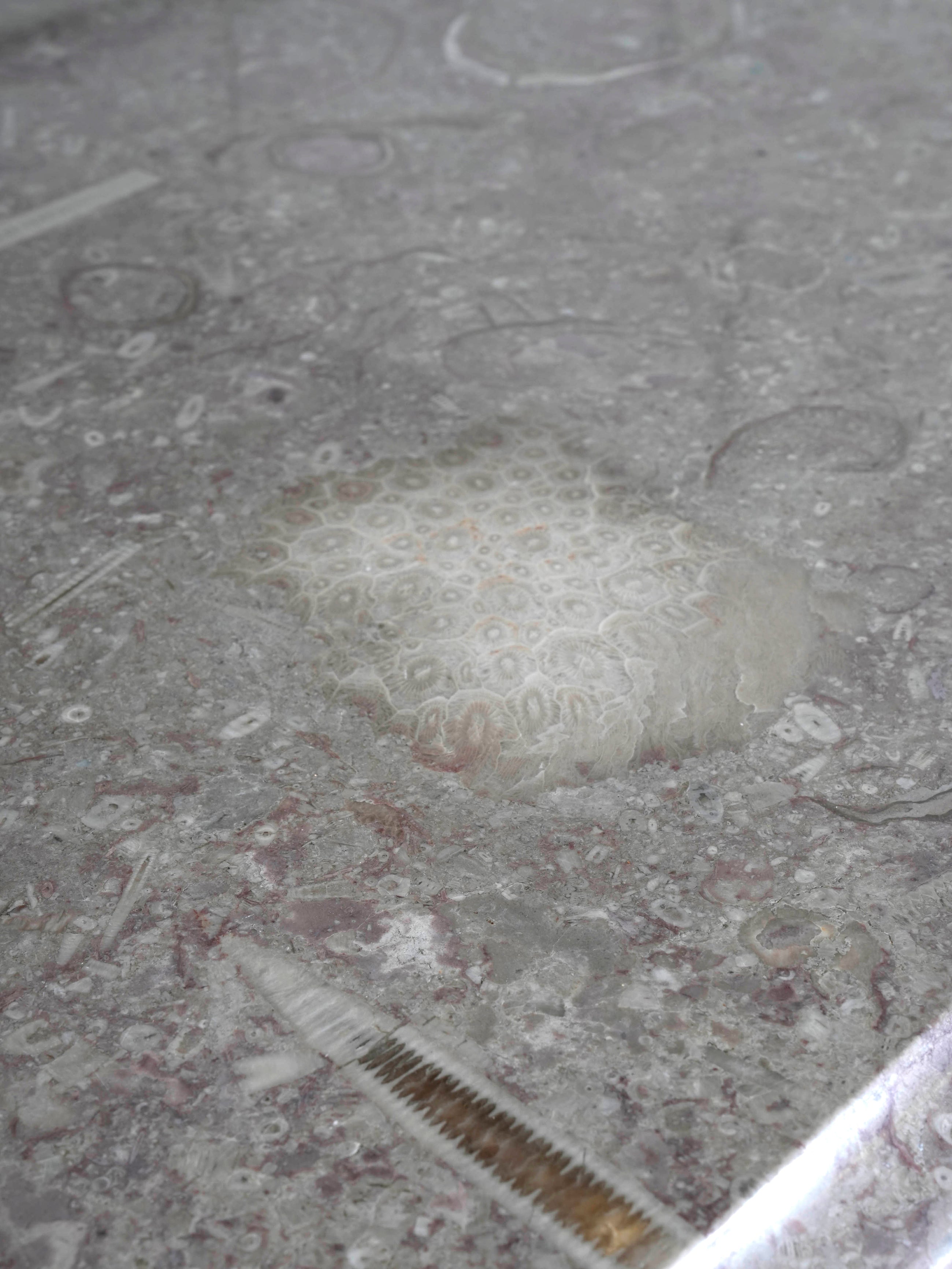 A 19th Century Marble Top Serving Table