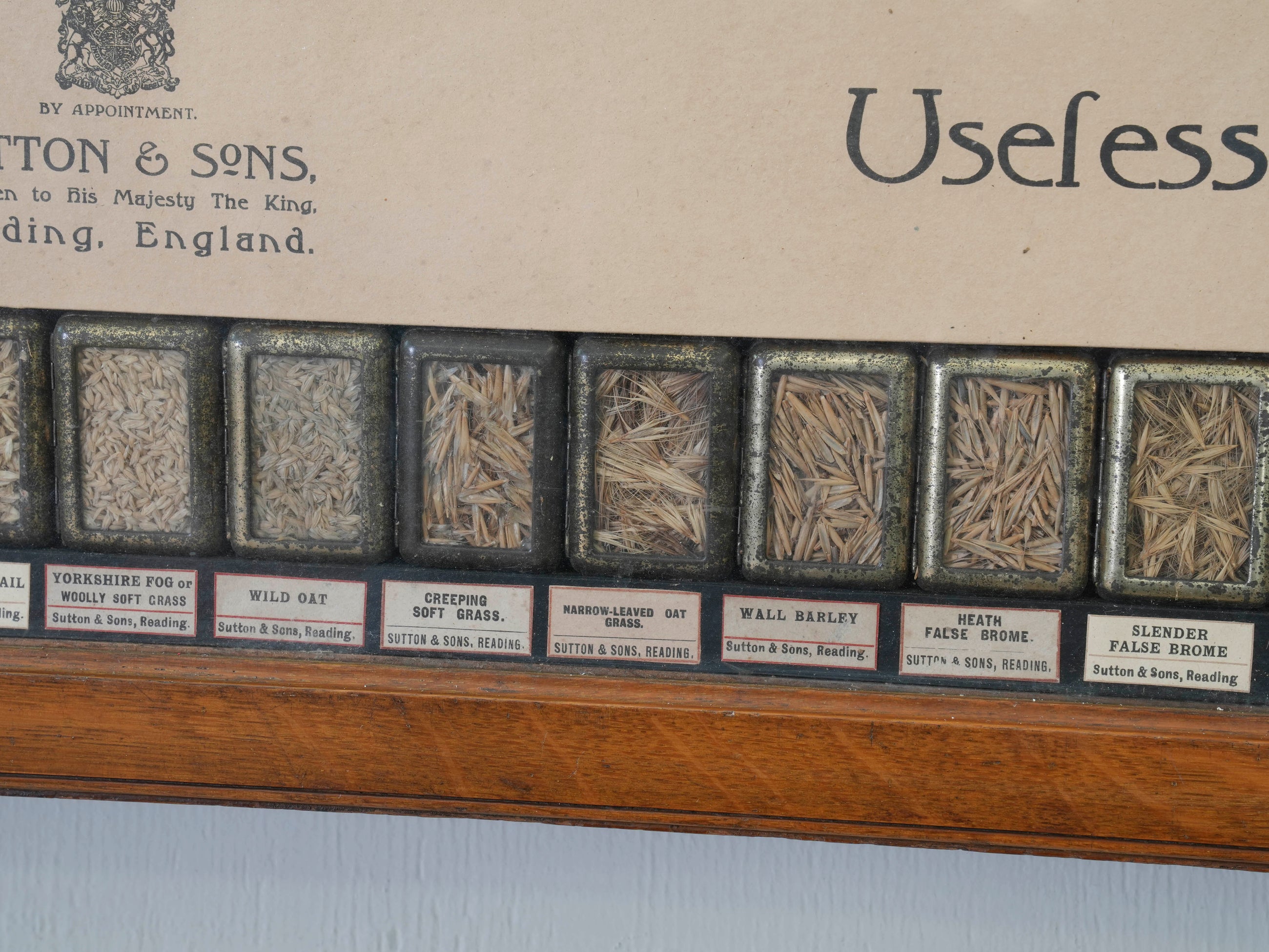 Suttons “Useful” Grasses & “Useless” Grasses Samplers