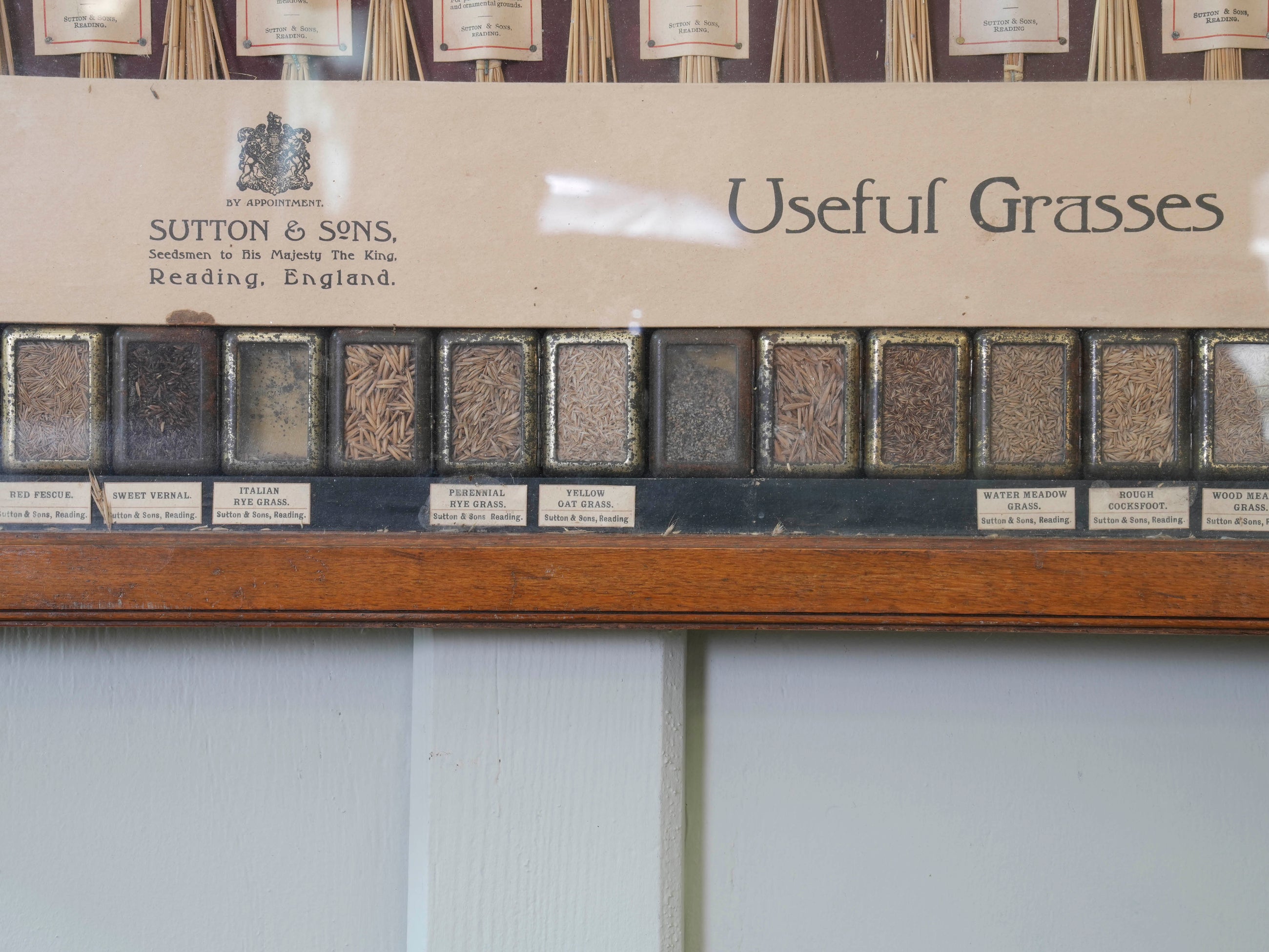 Suttons “Useful” Grasses & “Useless” Grasses Samplers