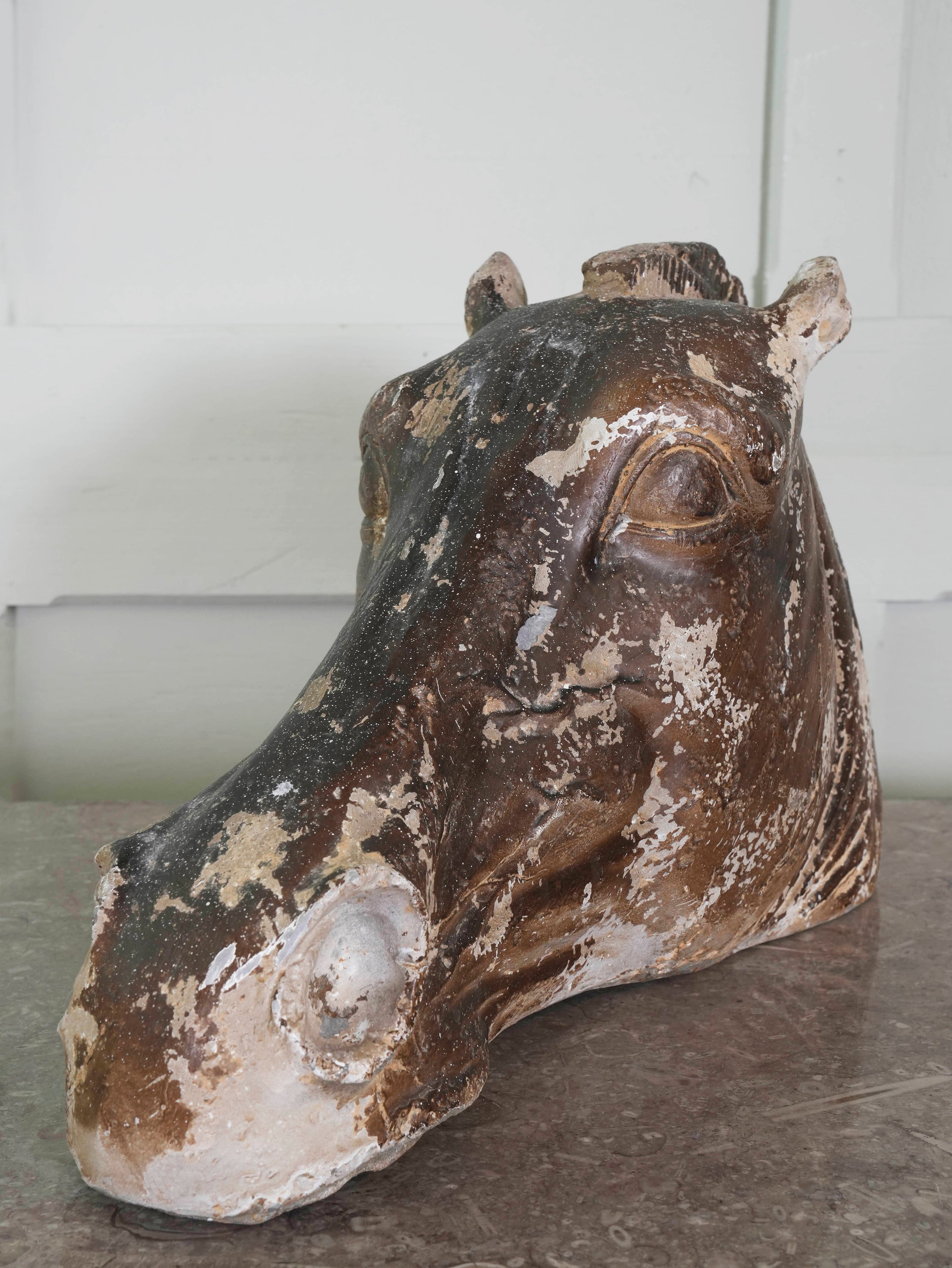 The Head Of The Horse Of Selene