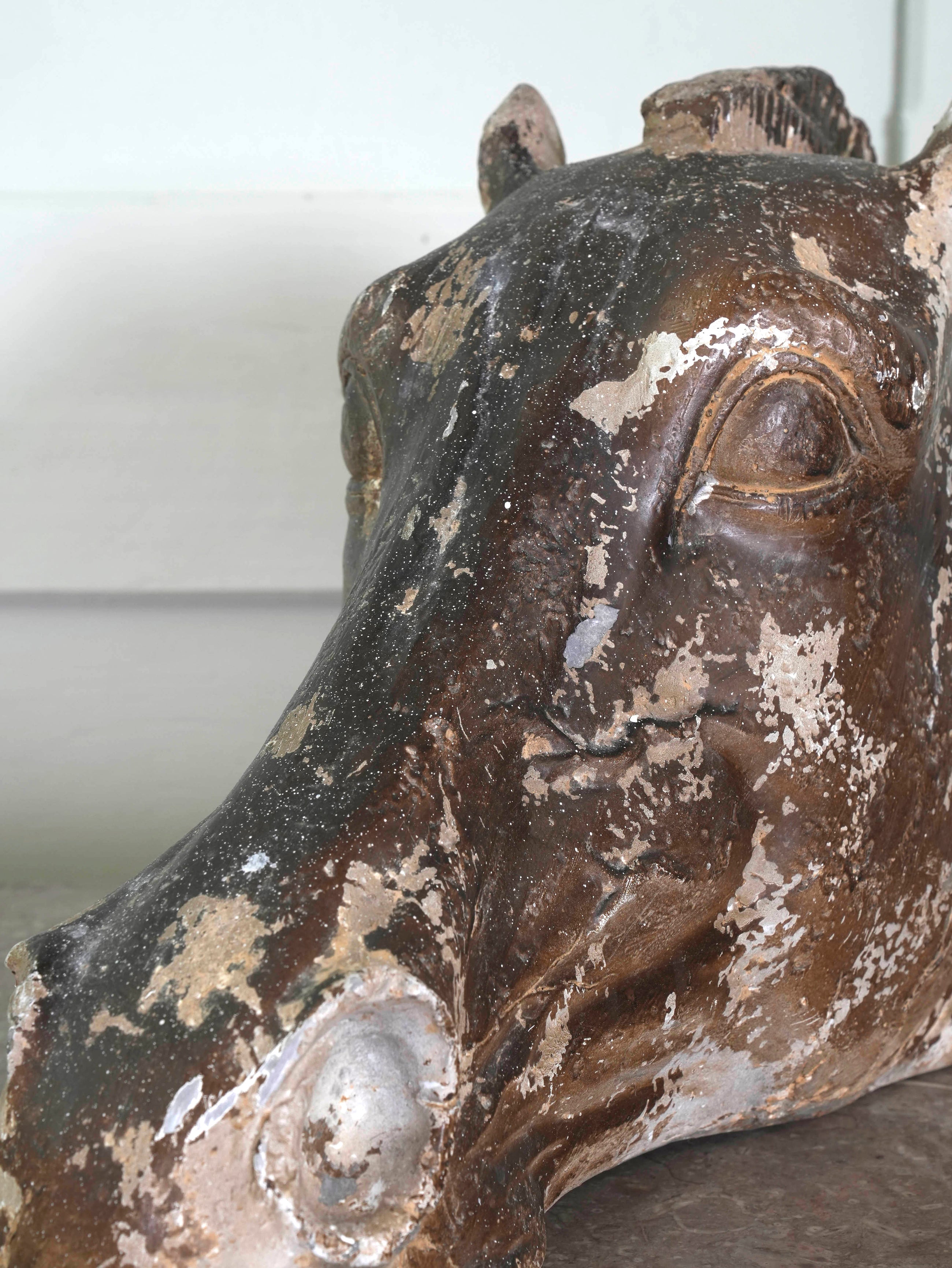 The Head Of The Horse Of Selene