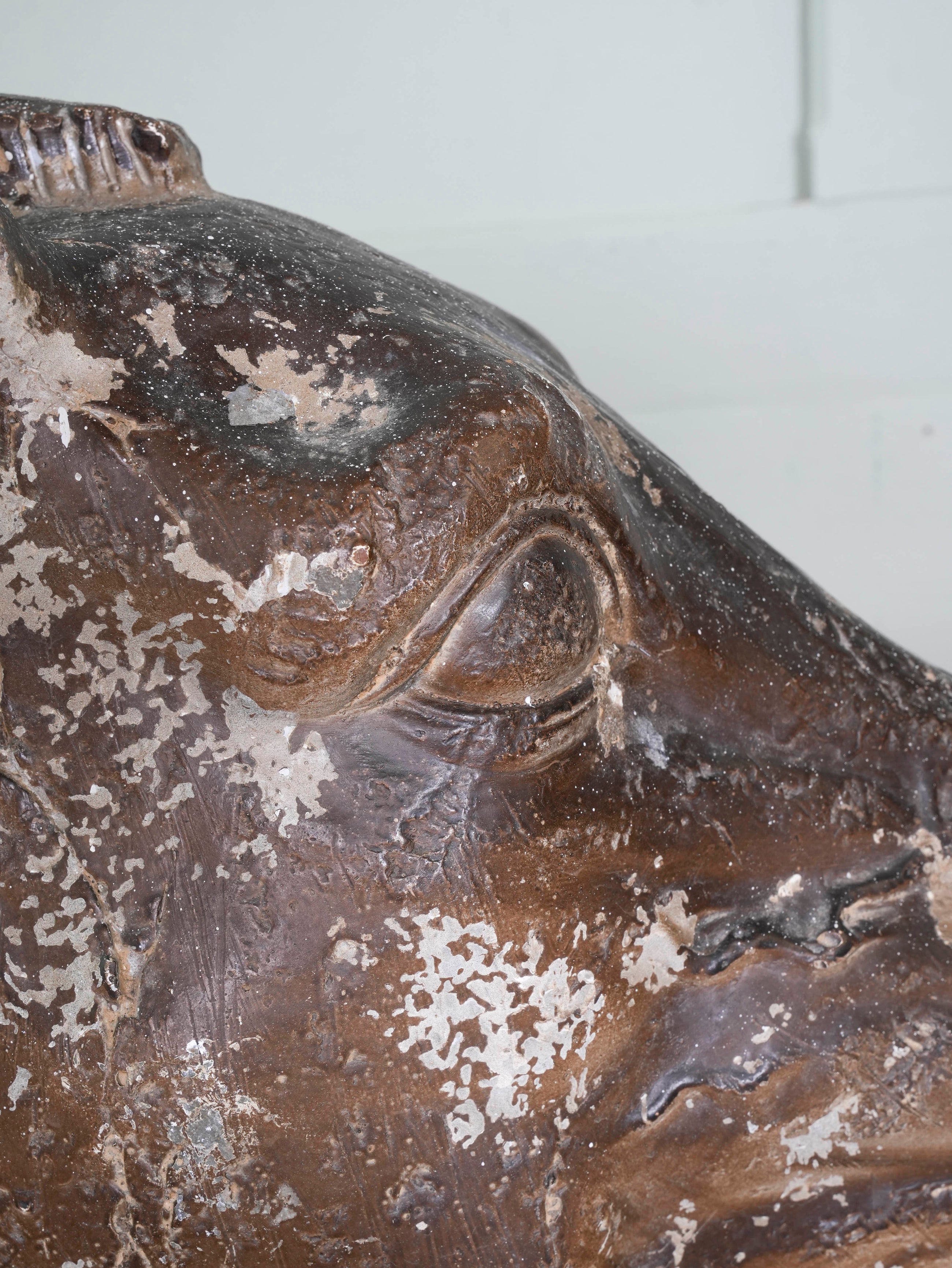 The Head Of The Horse Of Selene