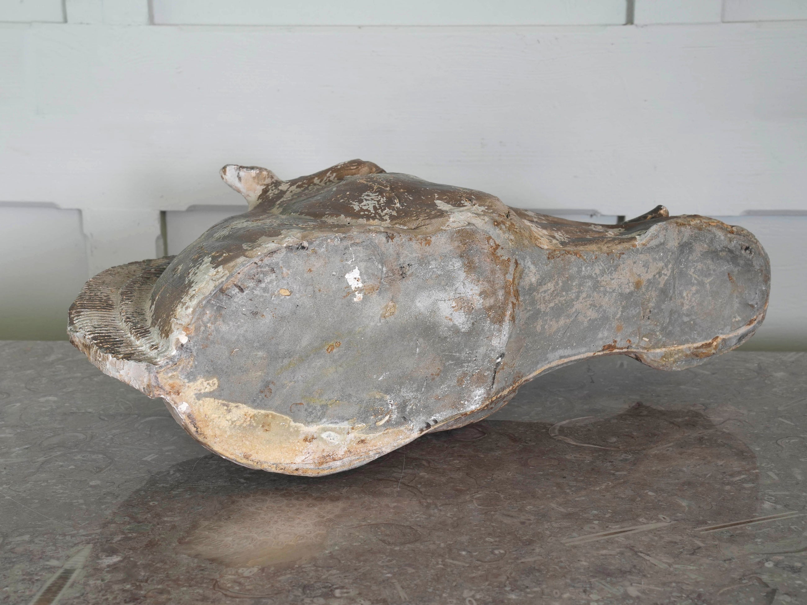 The Head Of The Horse Of Selene