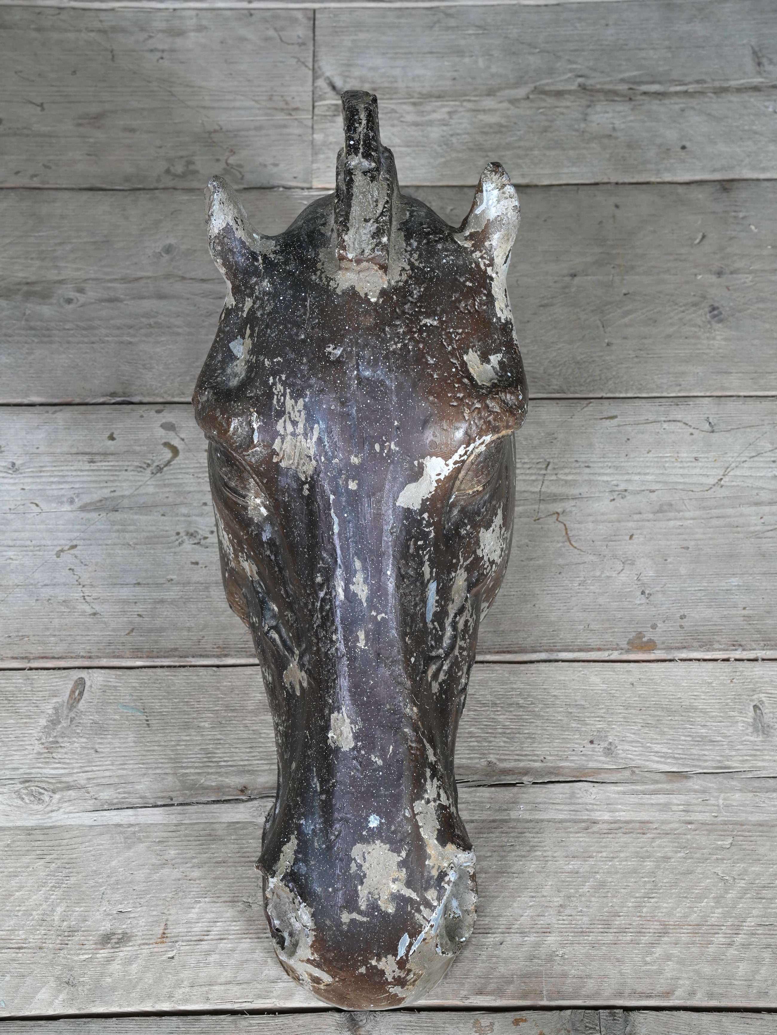 The Head Of The Horse Of Selene