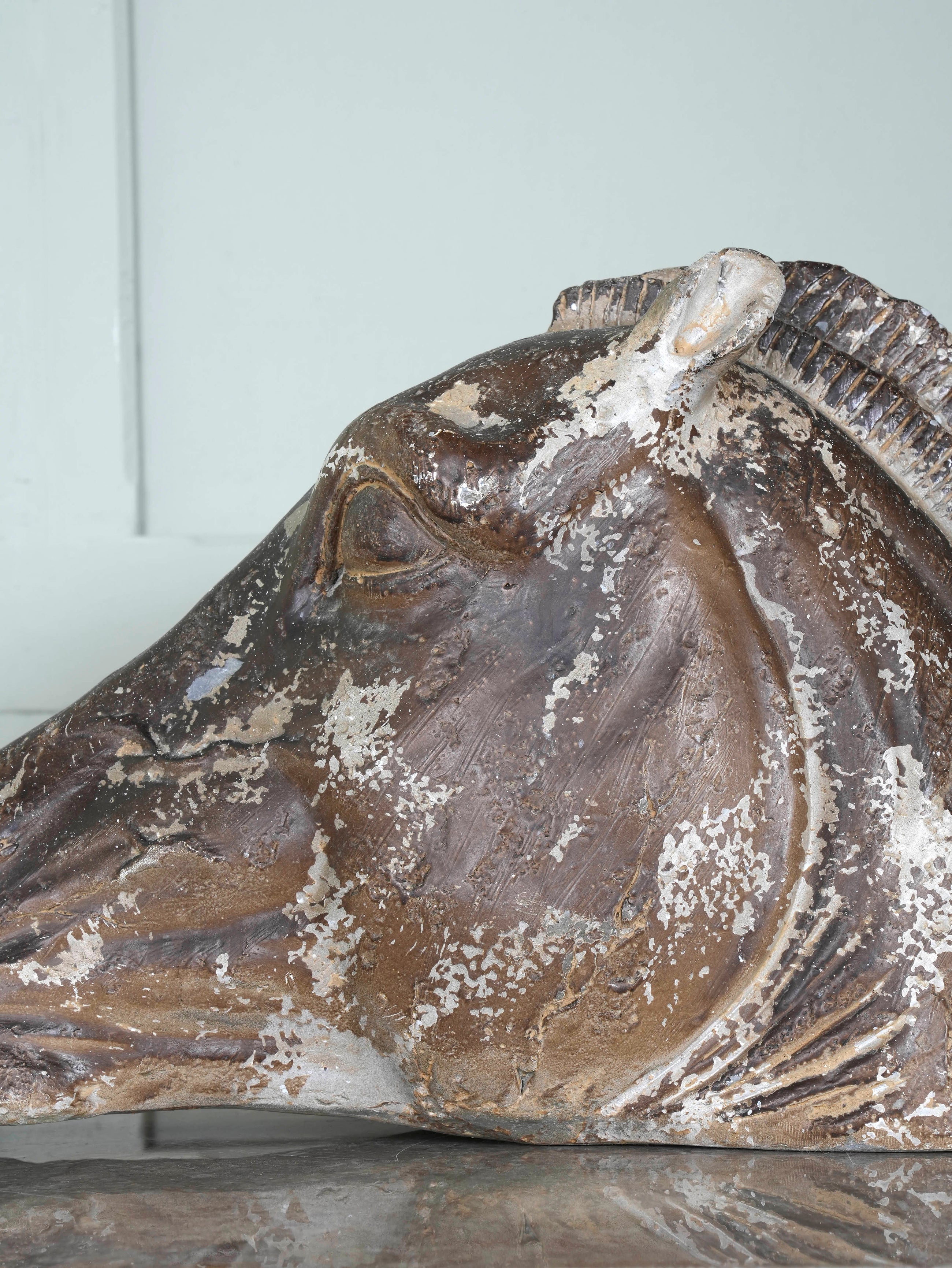 The Head Of The Horse Of Selene