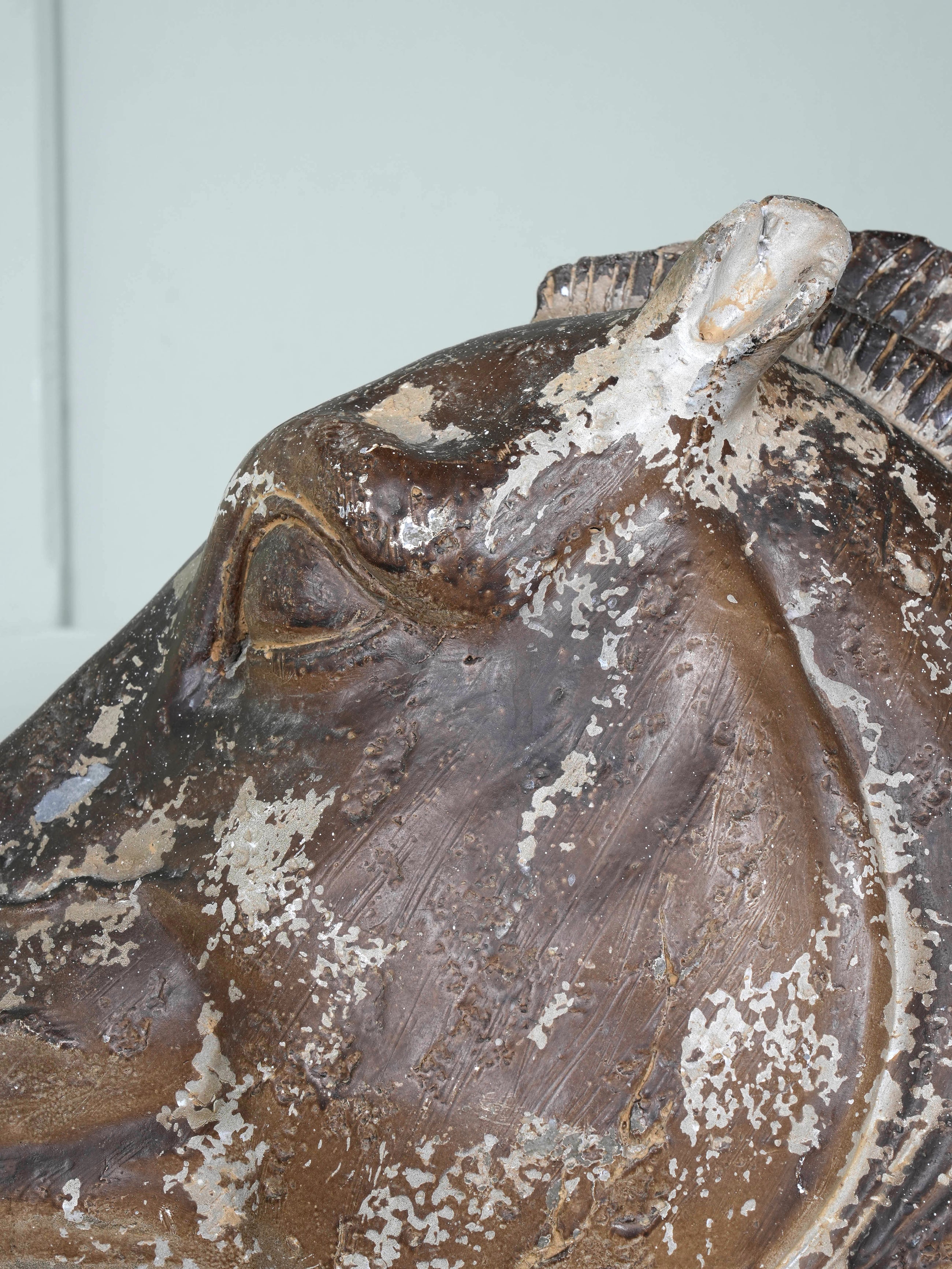 The Head Of The Horse Of Selene