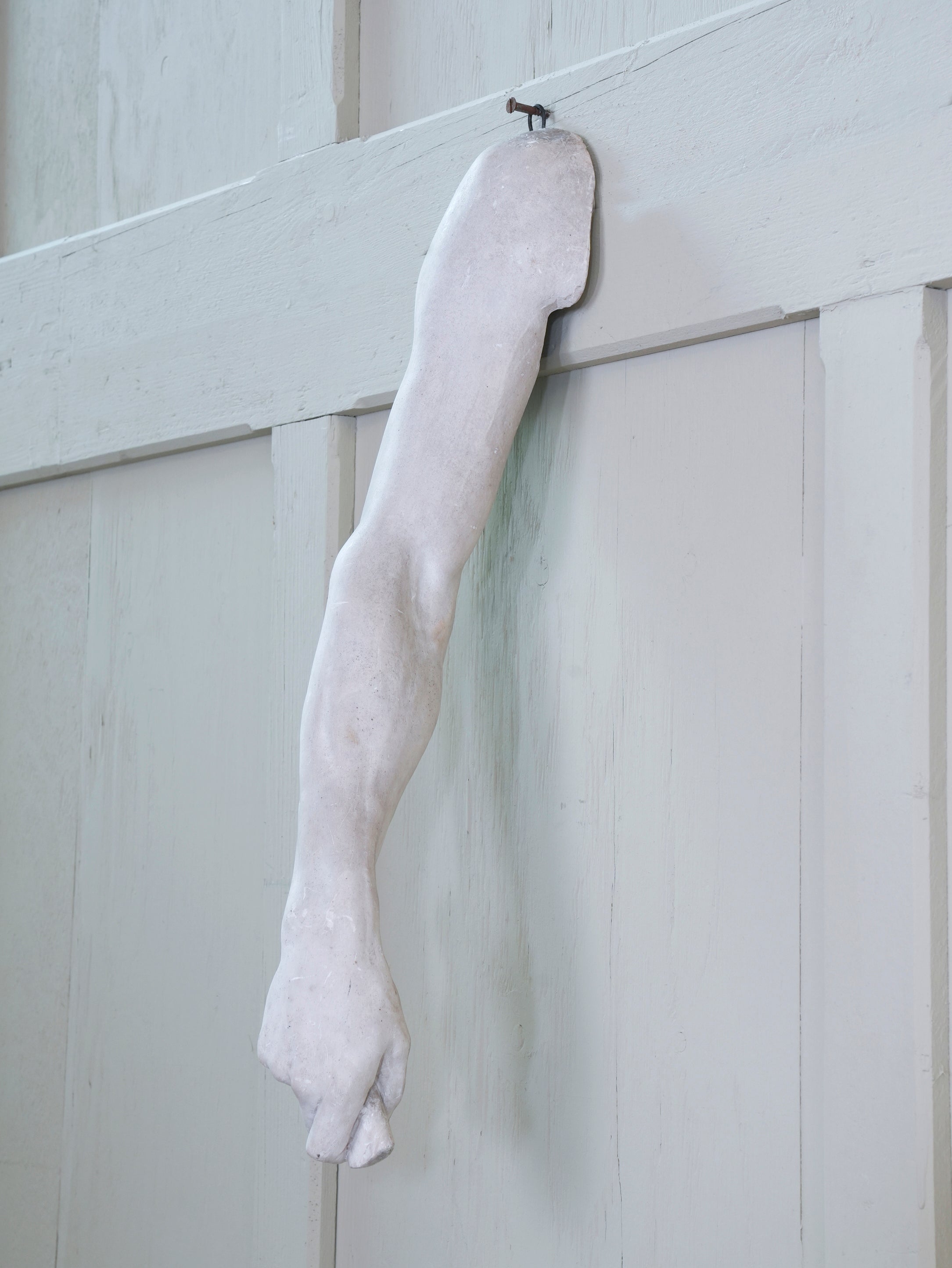 A Plaster Arm by Charles Smith.