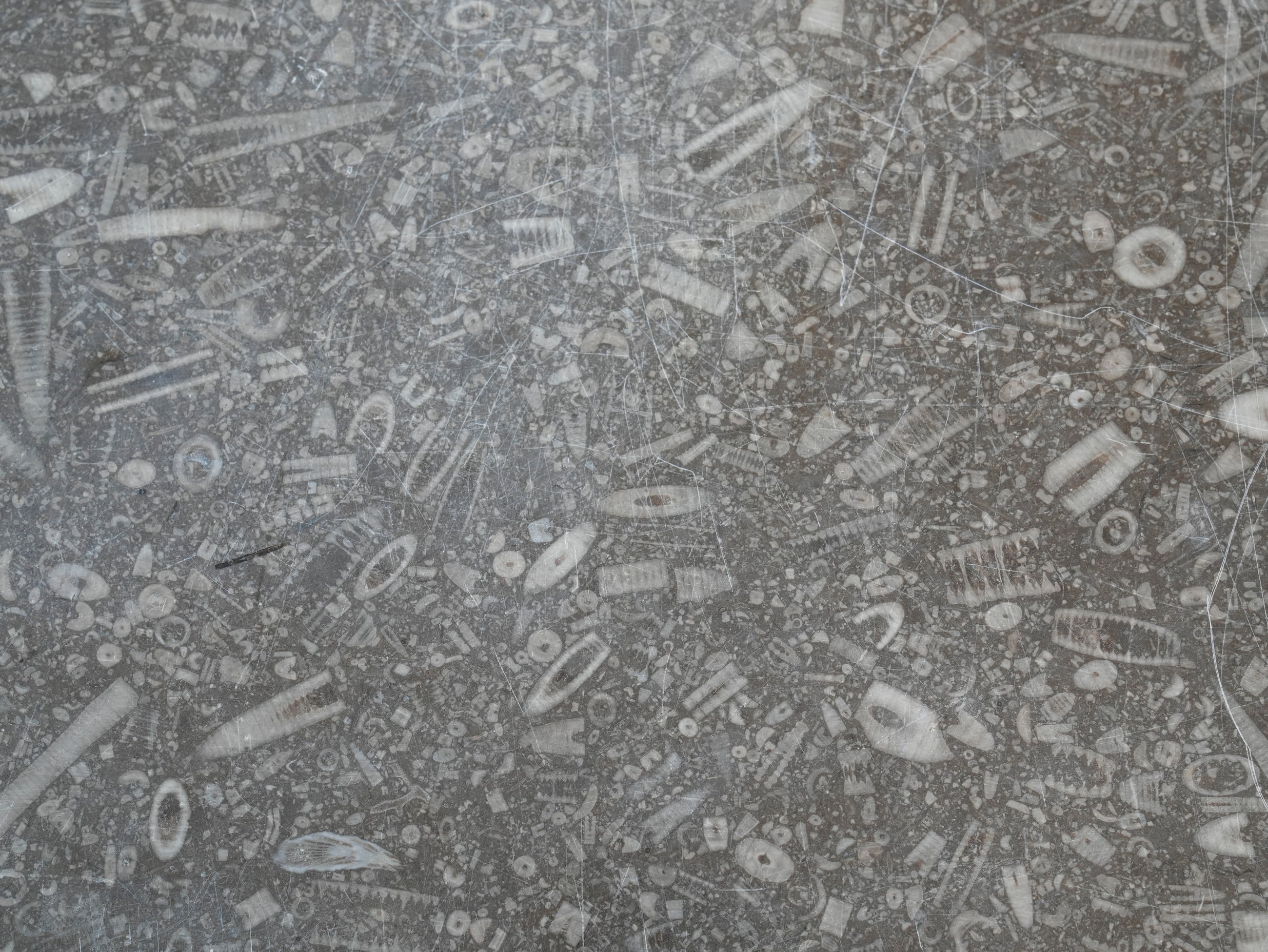 A 19thC Oak & Fossil Marble Console Table