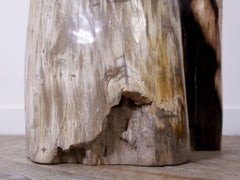 Petrified Tree Stump Stool