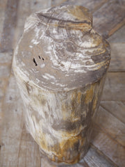 Petrified Tree Stump Stool