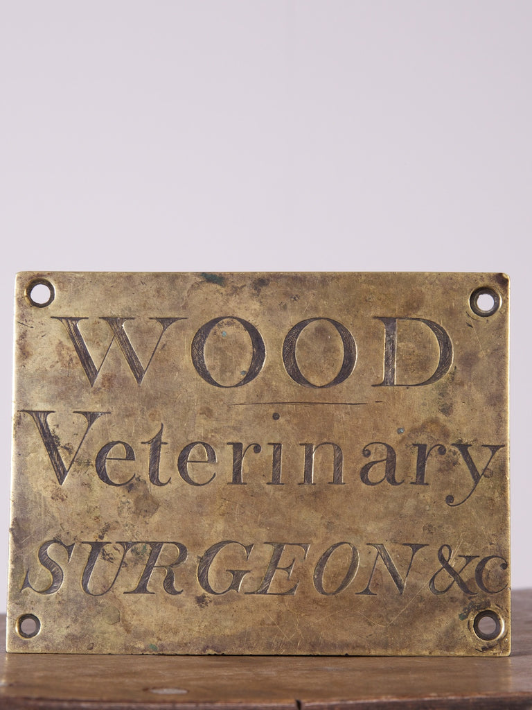 Brass Veterinary Sign