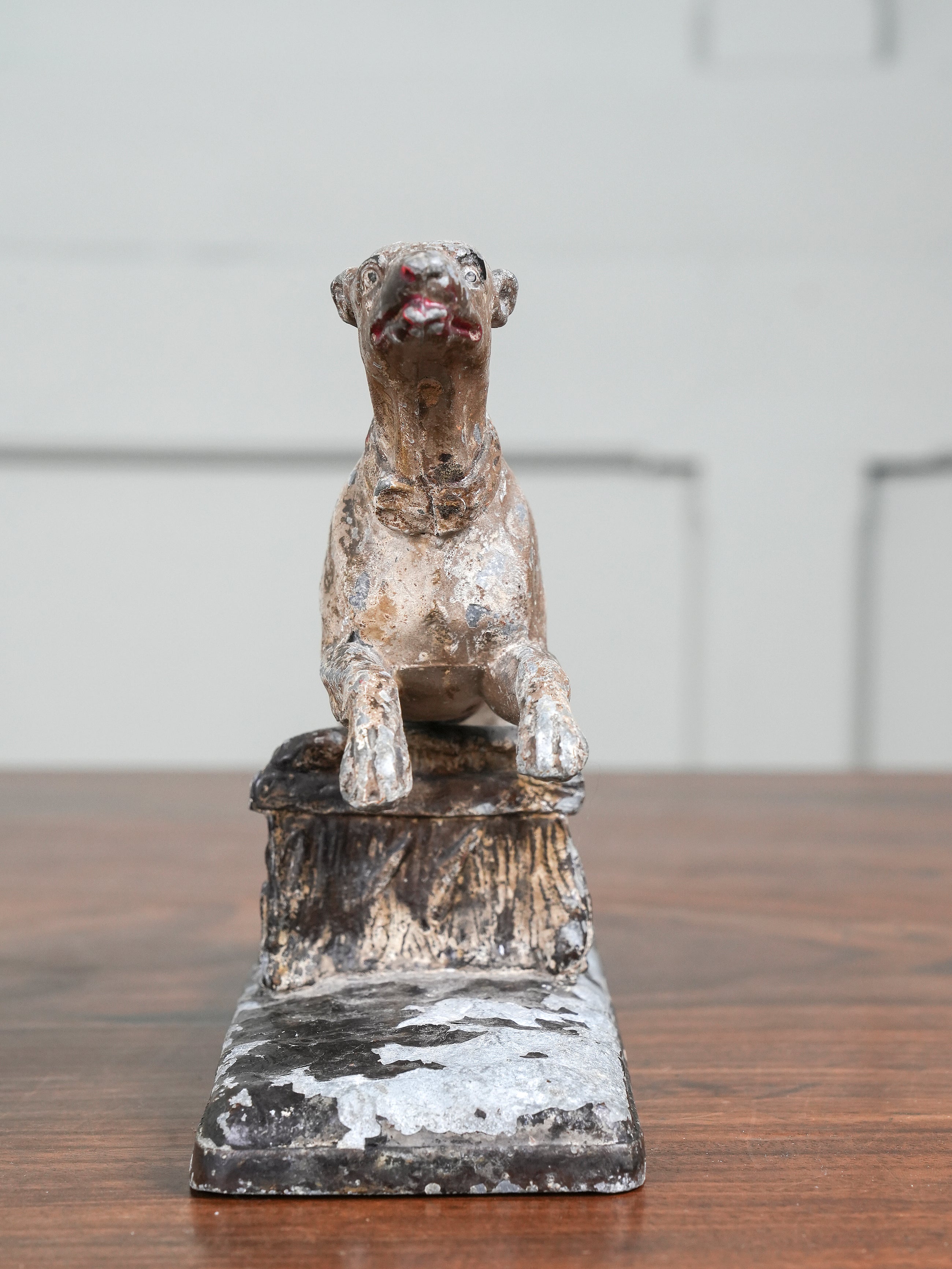Greyhound