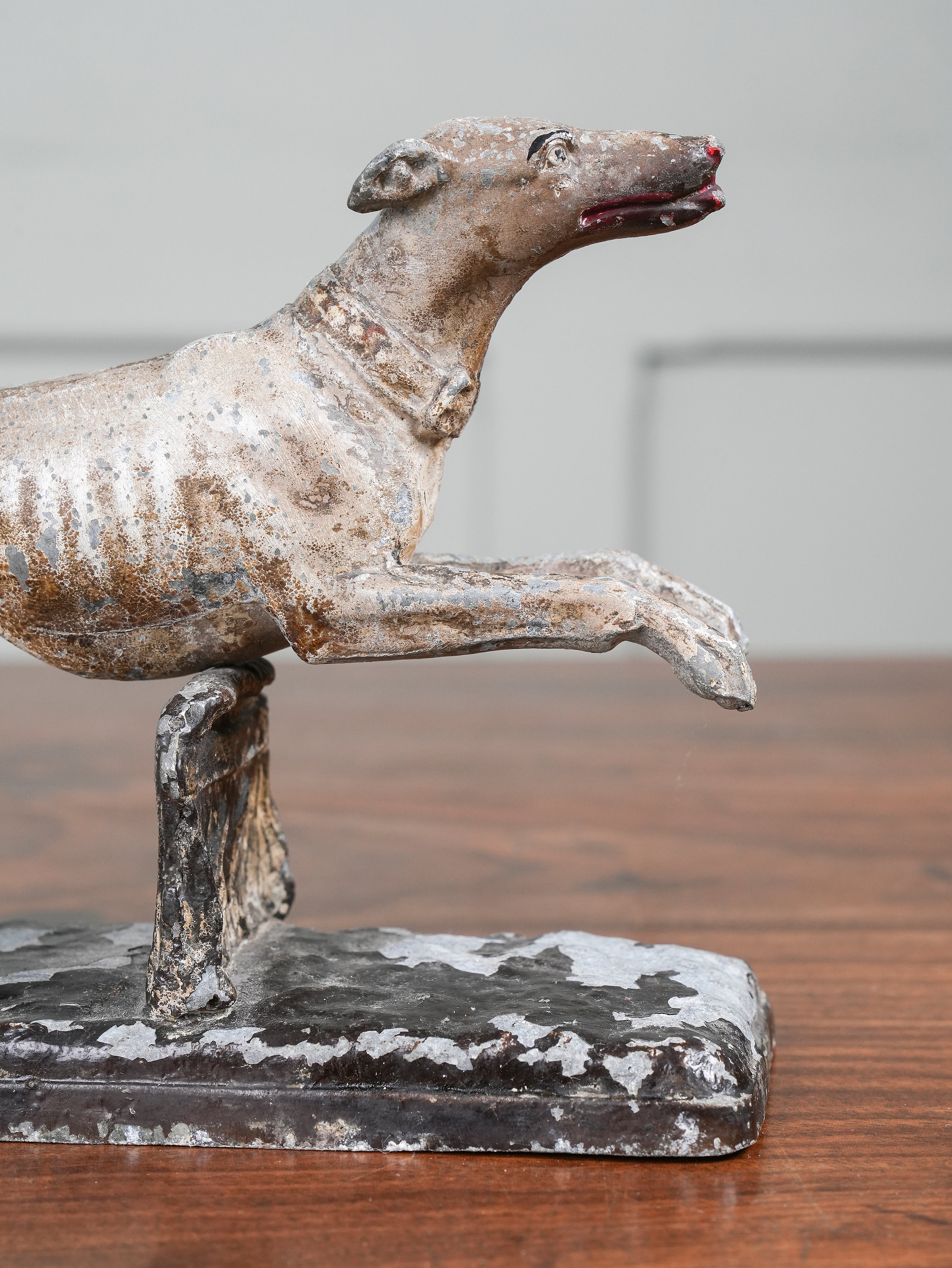 Greyhound