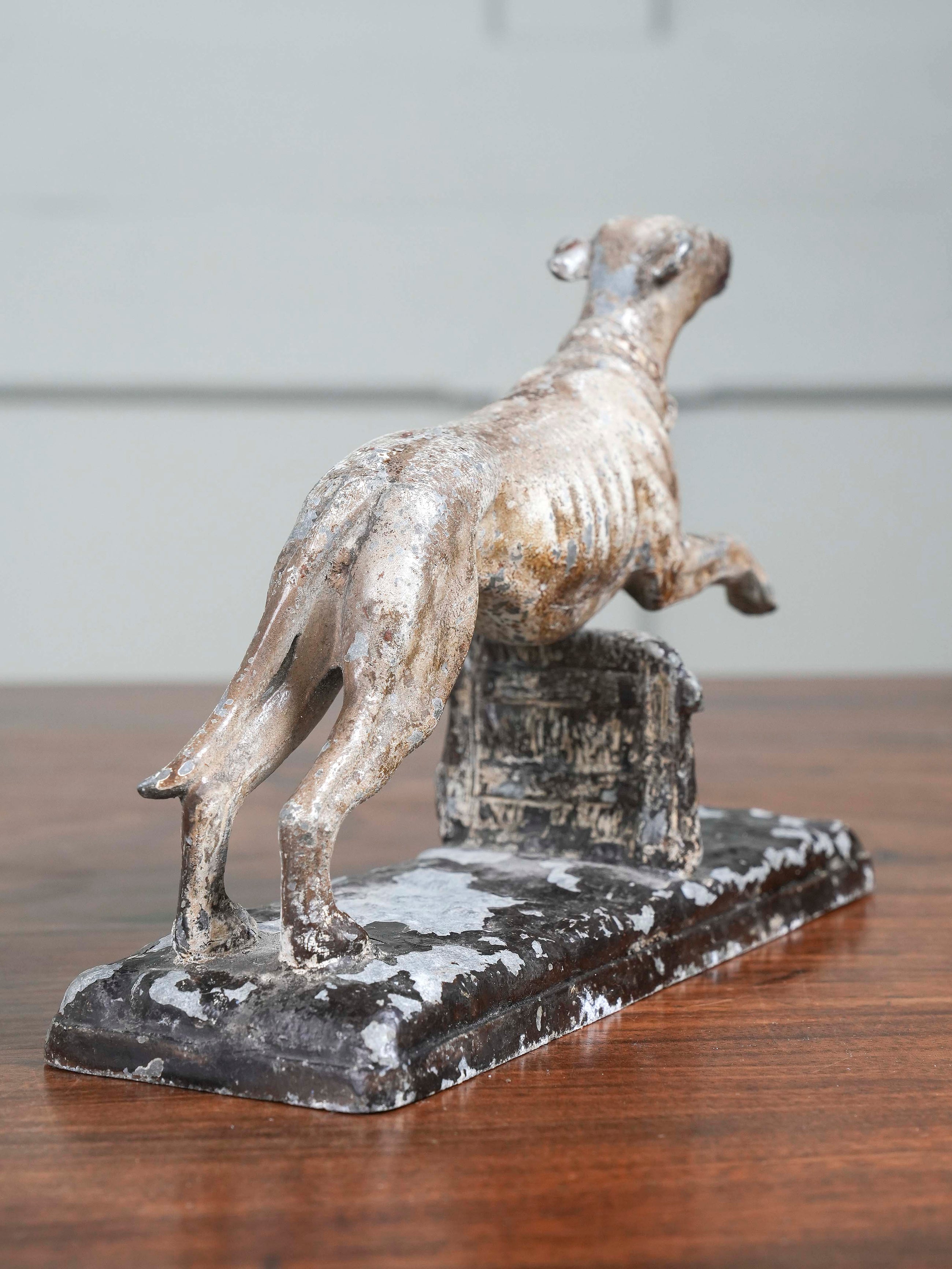 Greyhound