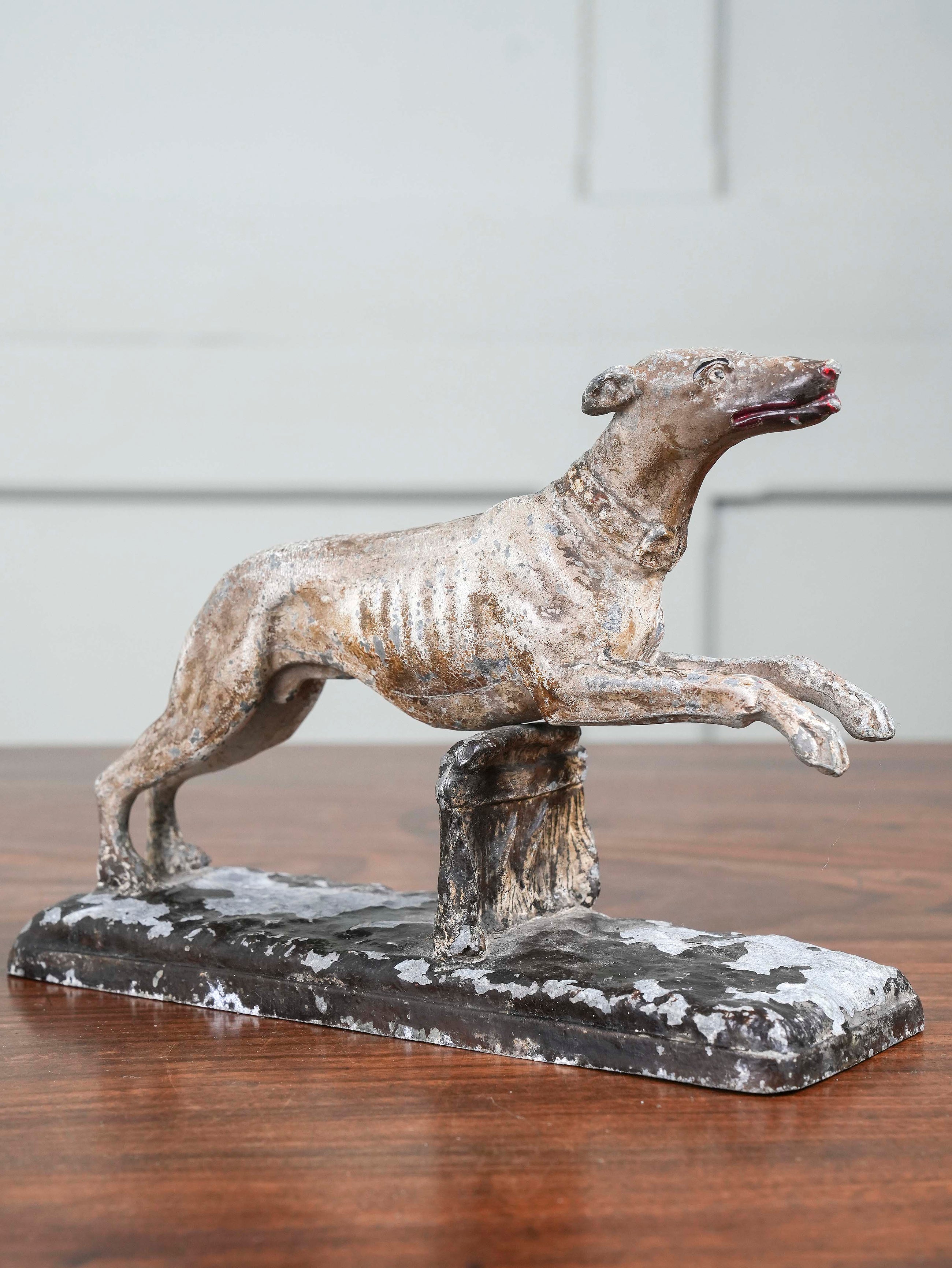 Greyhound