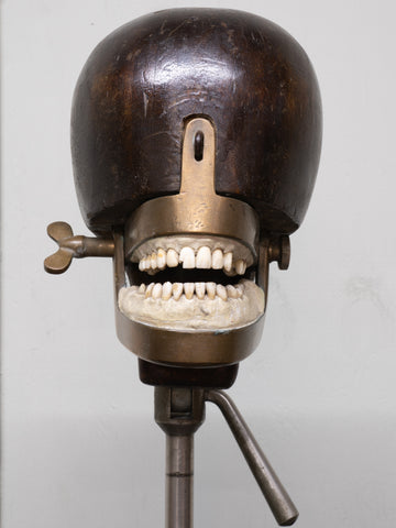 A 19th Century Dentists Phantom