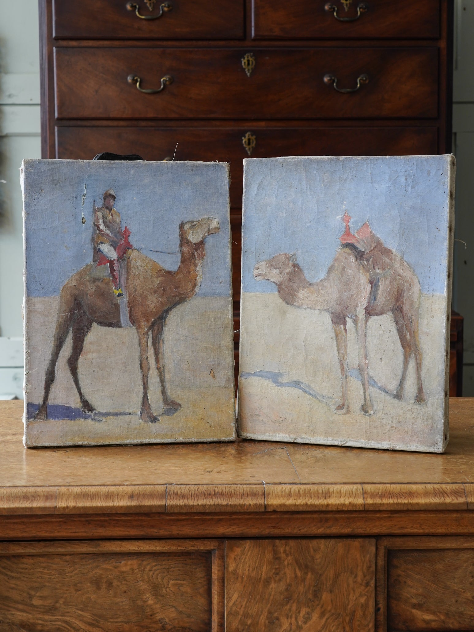 Camels on Canvas