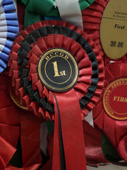 A Prized Border Collies Winning Rosette Cabinet