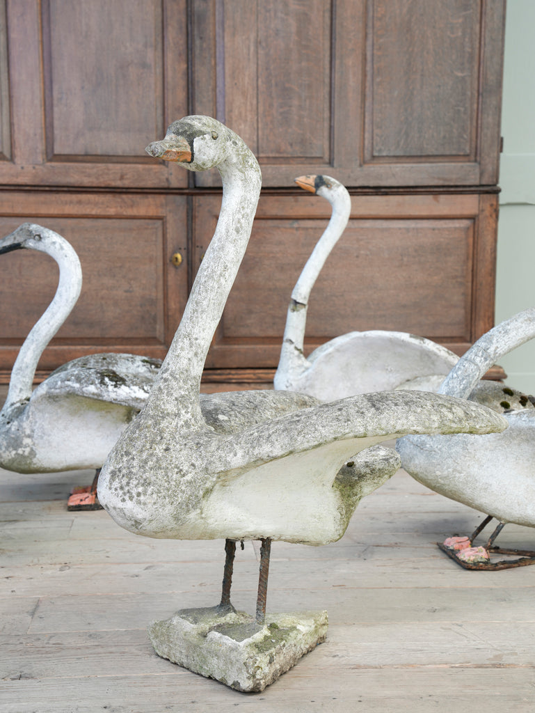 A Bevy of Composition Stone Swans