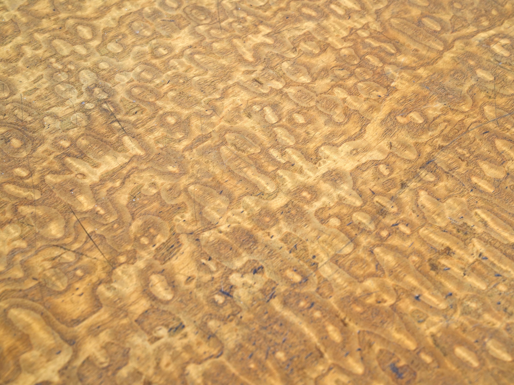 A 19th Century Burr Ash Chest of Drawers