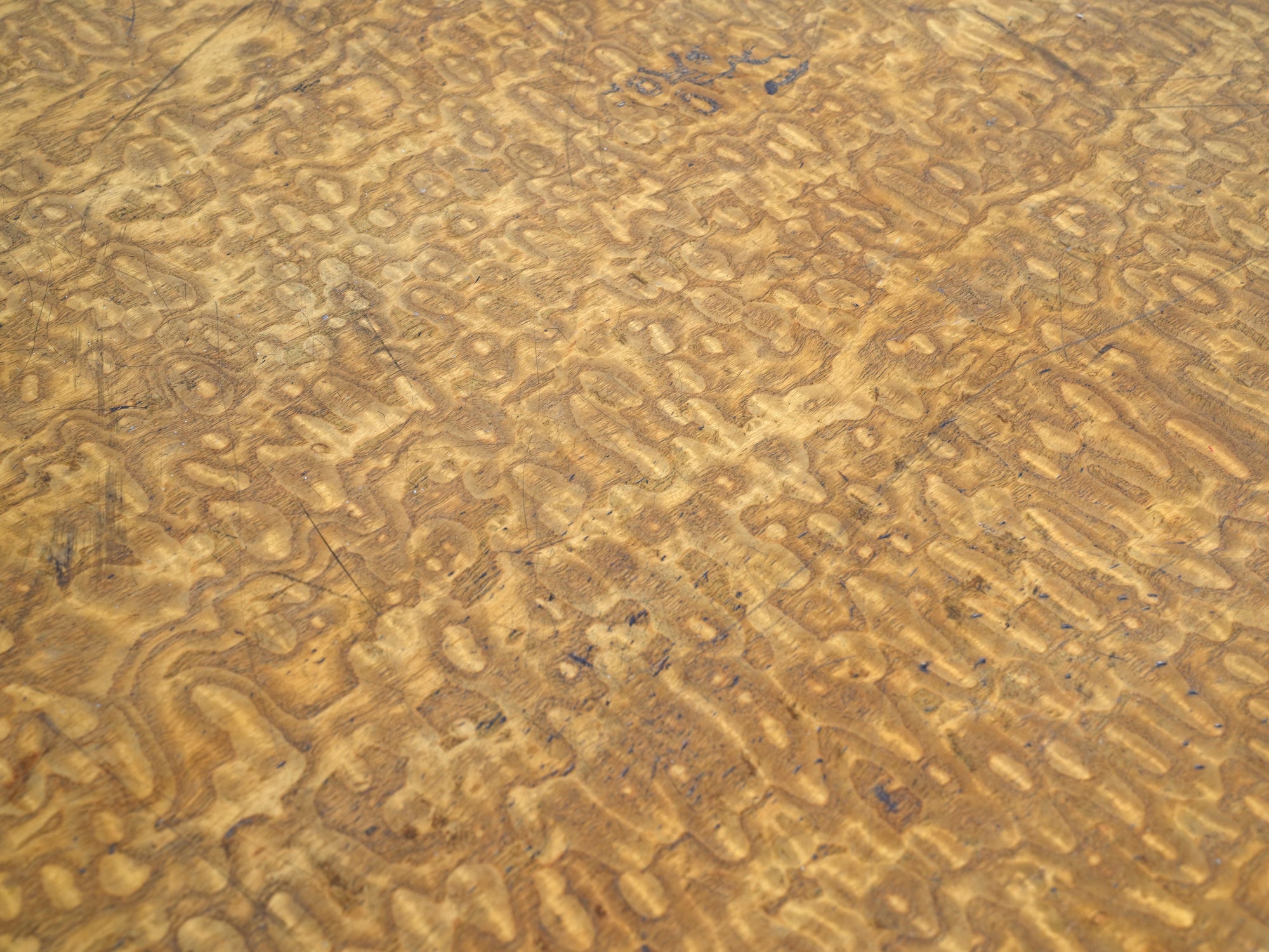 A 19th Century Burr Ash Chest of Drawers