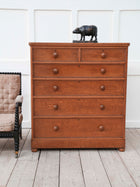 A 19th Century Burr Ash Chest of Drawers