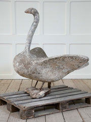 Large Swan