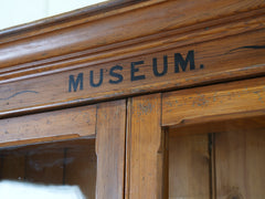 Diminutive Museum Cabinet
