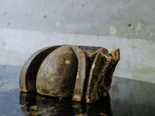 19th Century Architectural Plaster Fragments