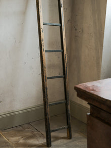 19th Century Folding Library Ladders